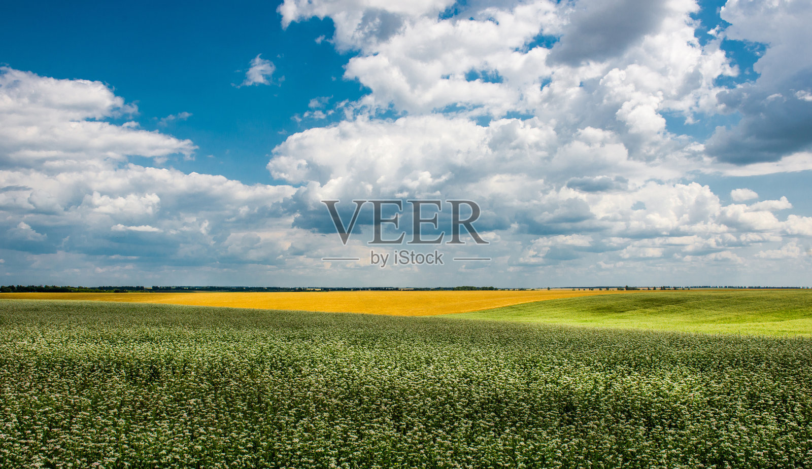 云下黄绿色的田野照片摄影图片