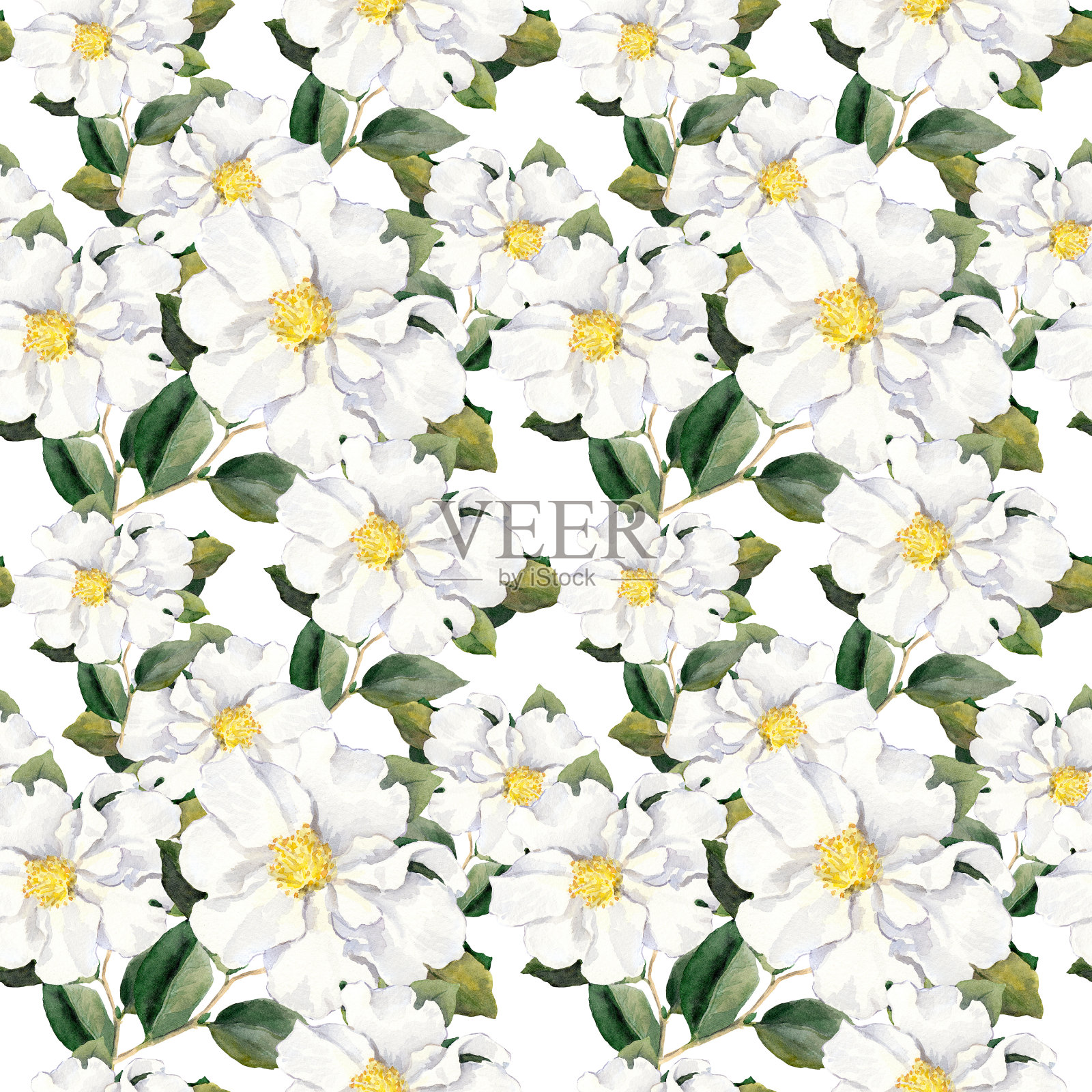 无缝花墙纸与白玉兰，牡丹。水彩画照片摄影图片