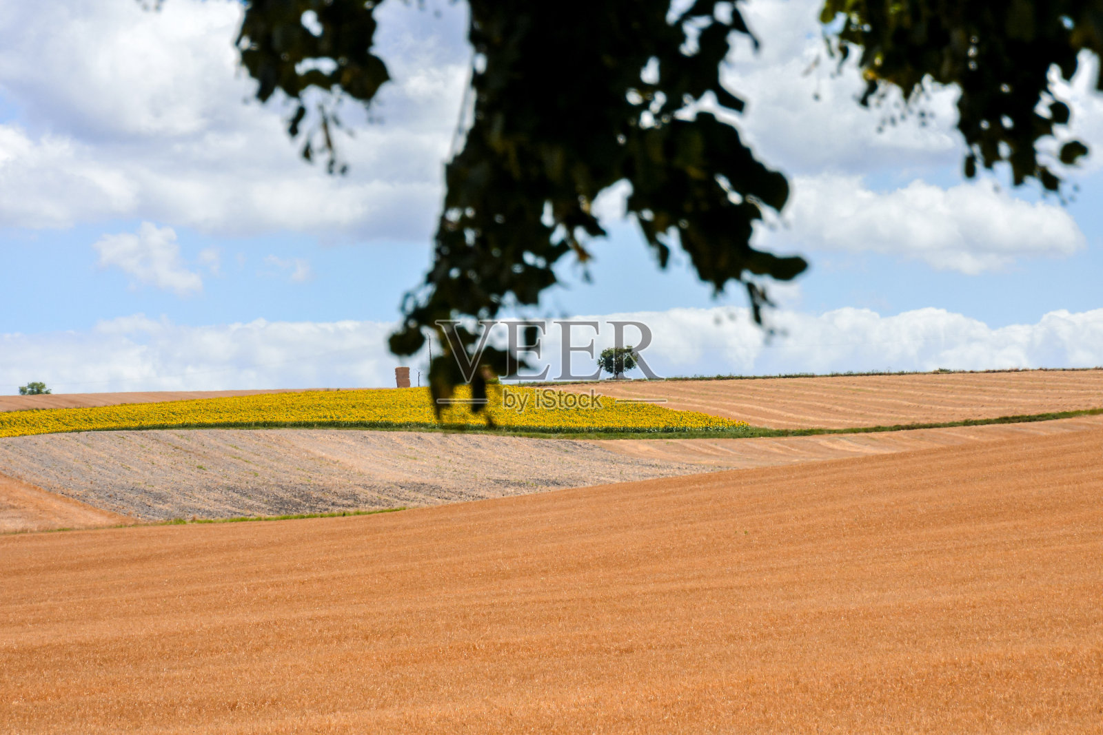 欧洲自然乡村照片摄影图片