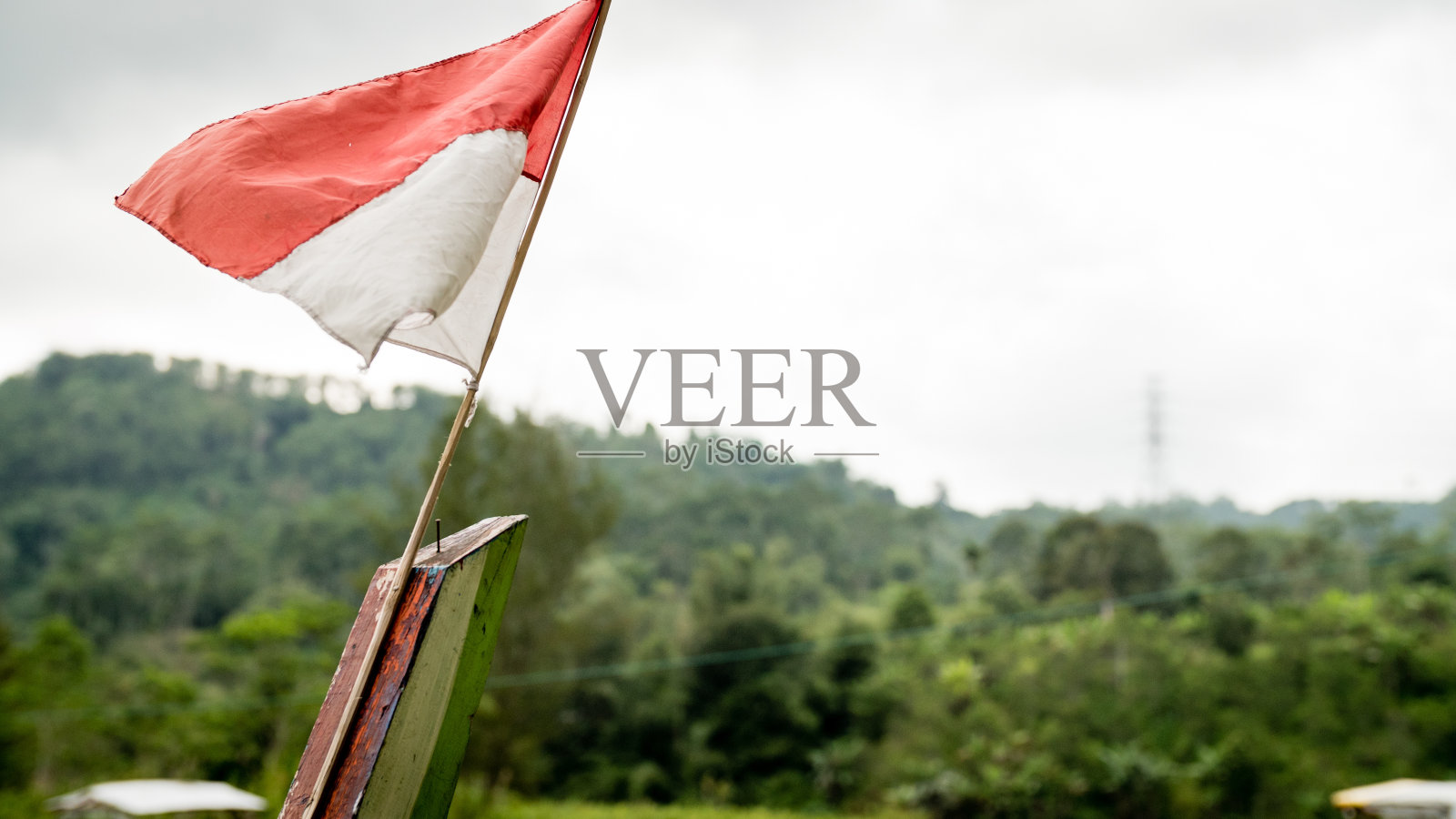 让它飞. .照片摄影图片