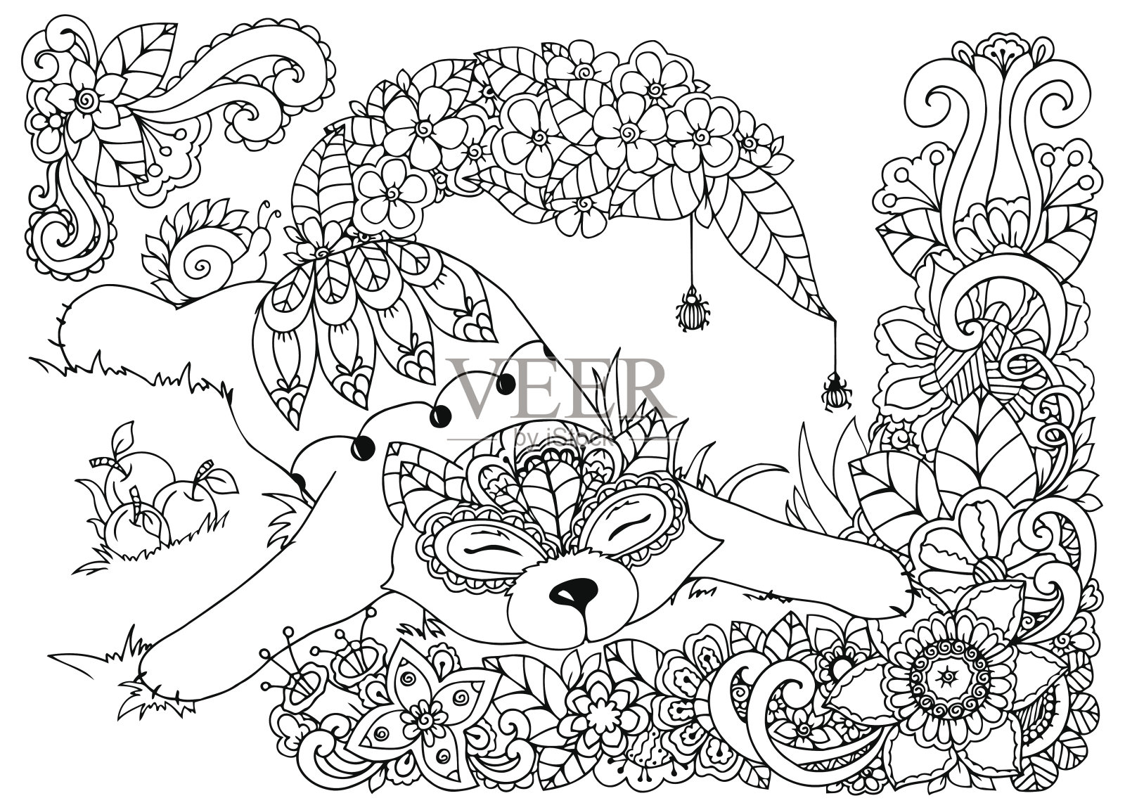 矢量插图，狐狸，在花。涂鸦画蘑菇。着色插画图片素材