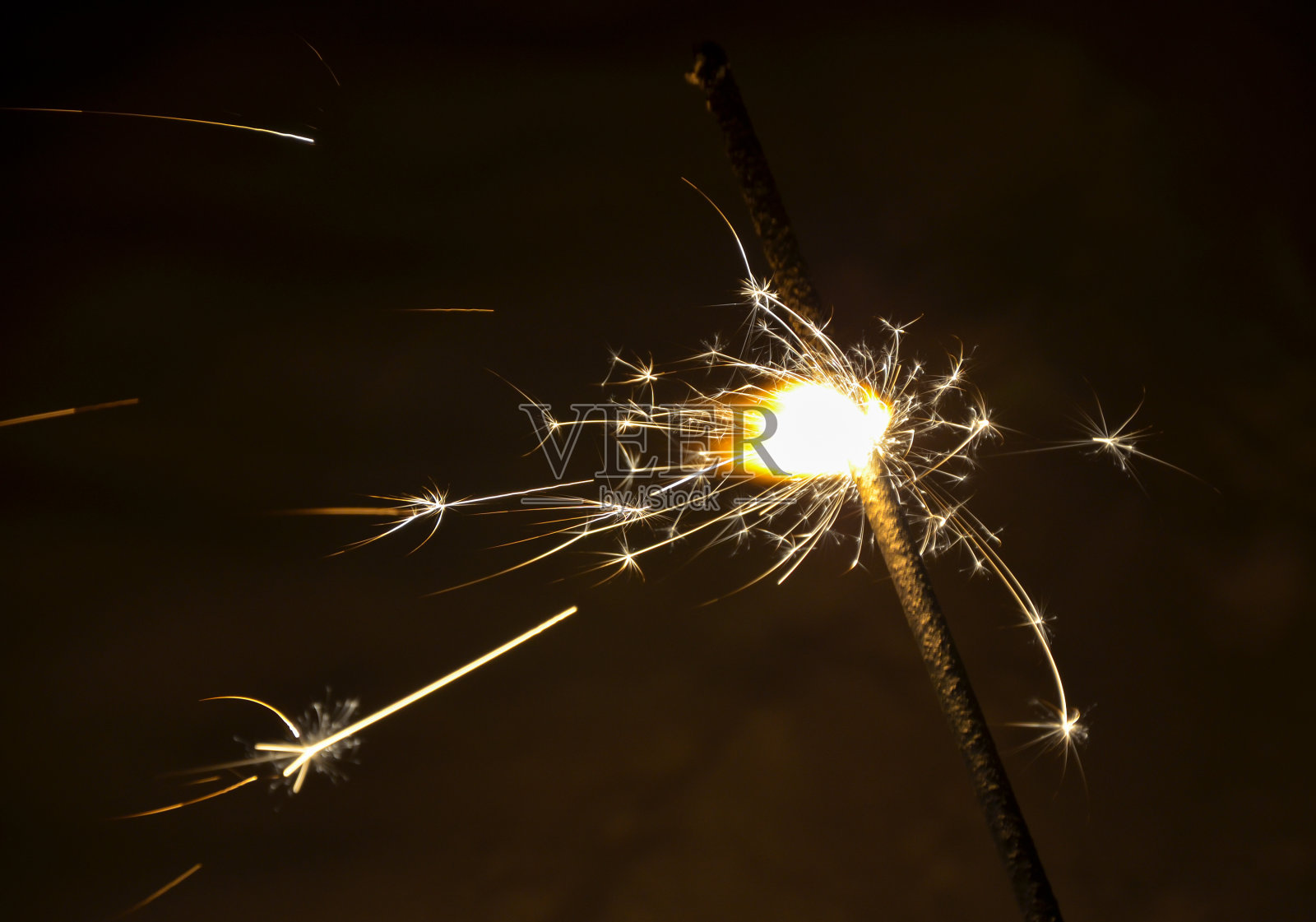 炯炯有神的眼睛照片摄影图片