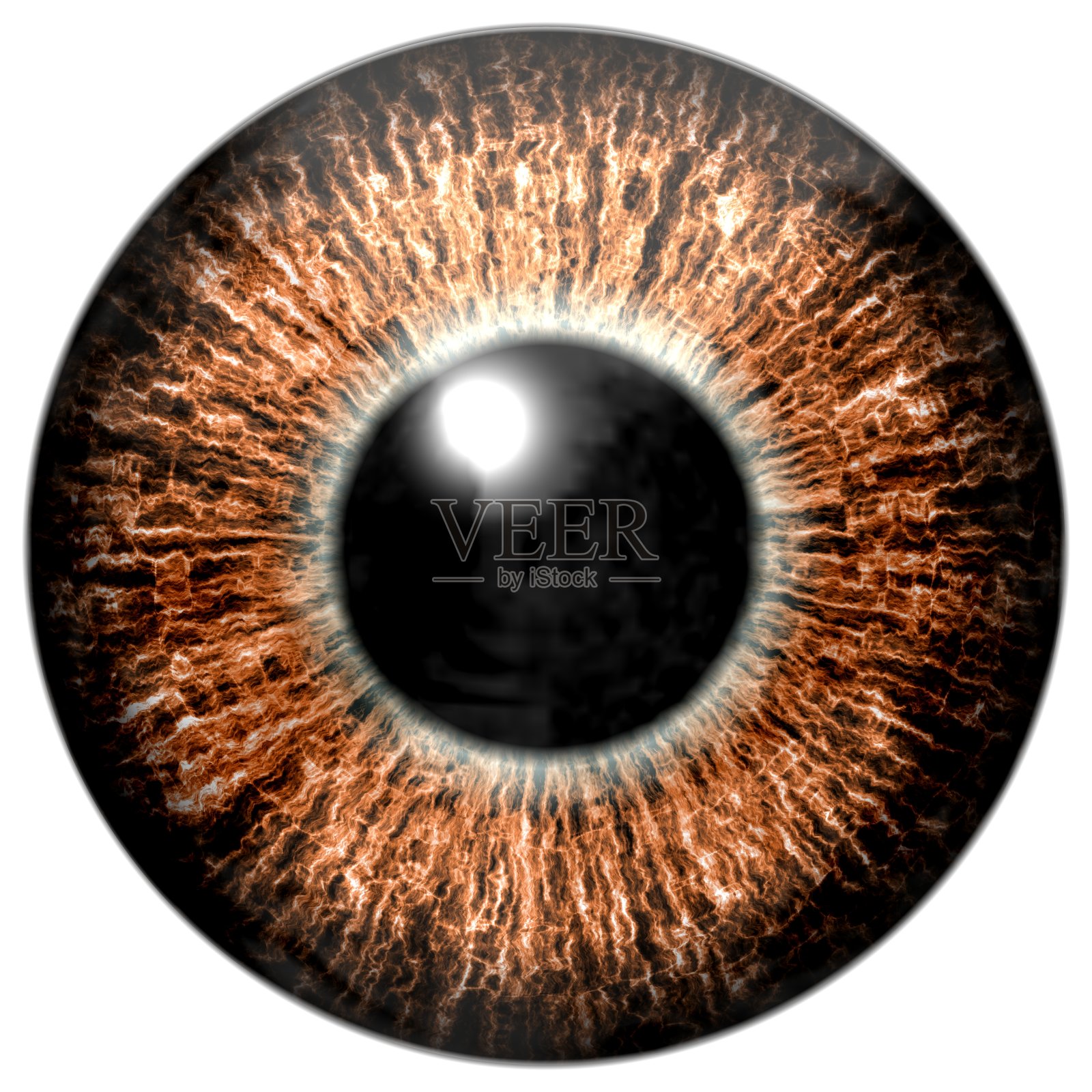 锐利迷人的深棕色眼睛纹理。照片摄影图片