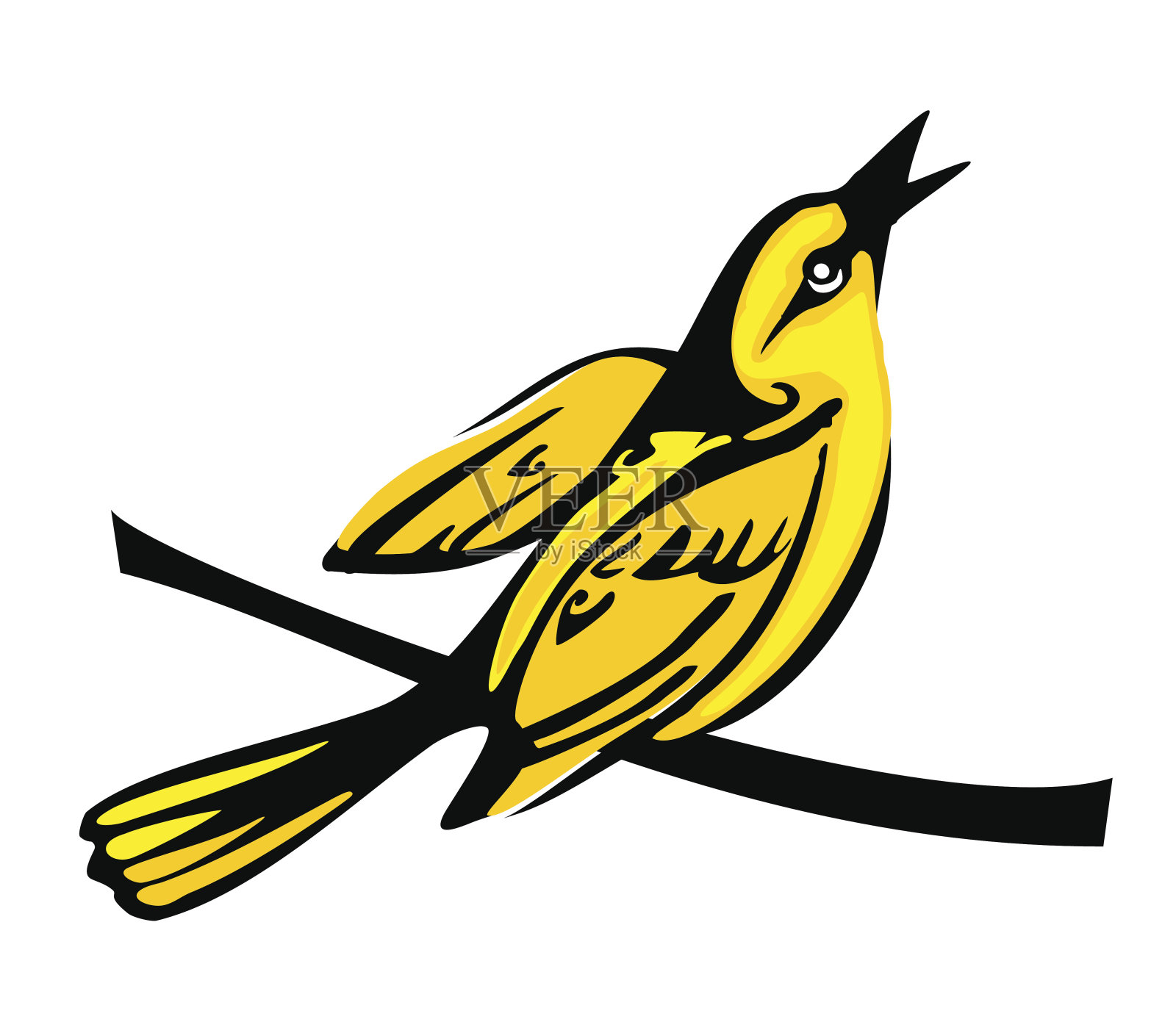 金莺栖息在树枝上。矢量平面插图插画图片素材