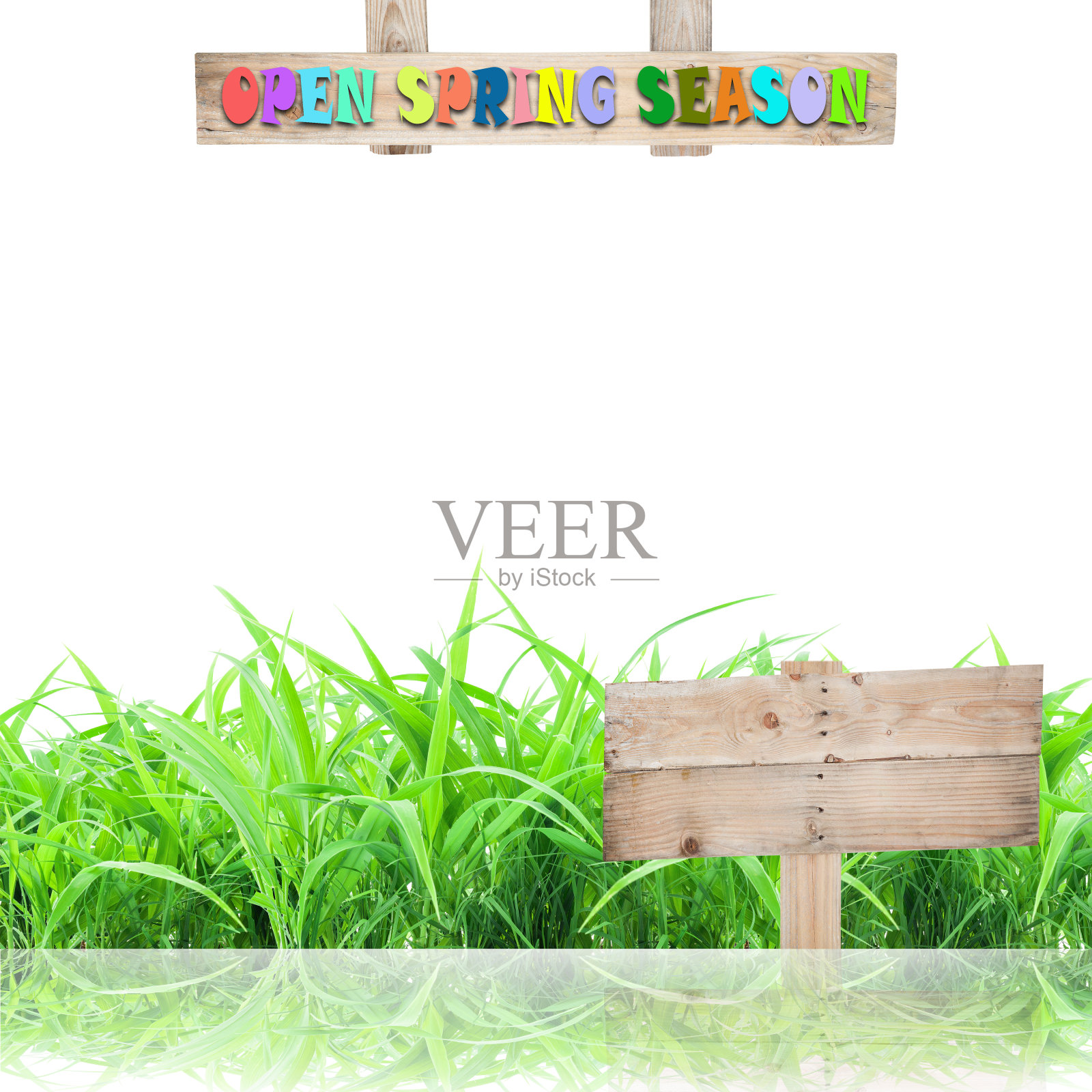 美丽的绿草带着倒影和春天的开放季节照片摄影图片