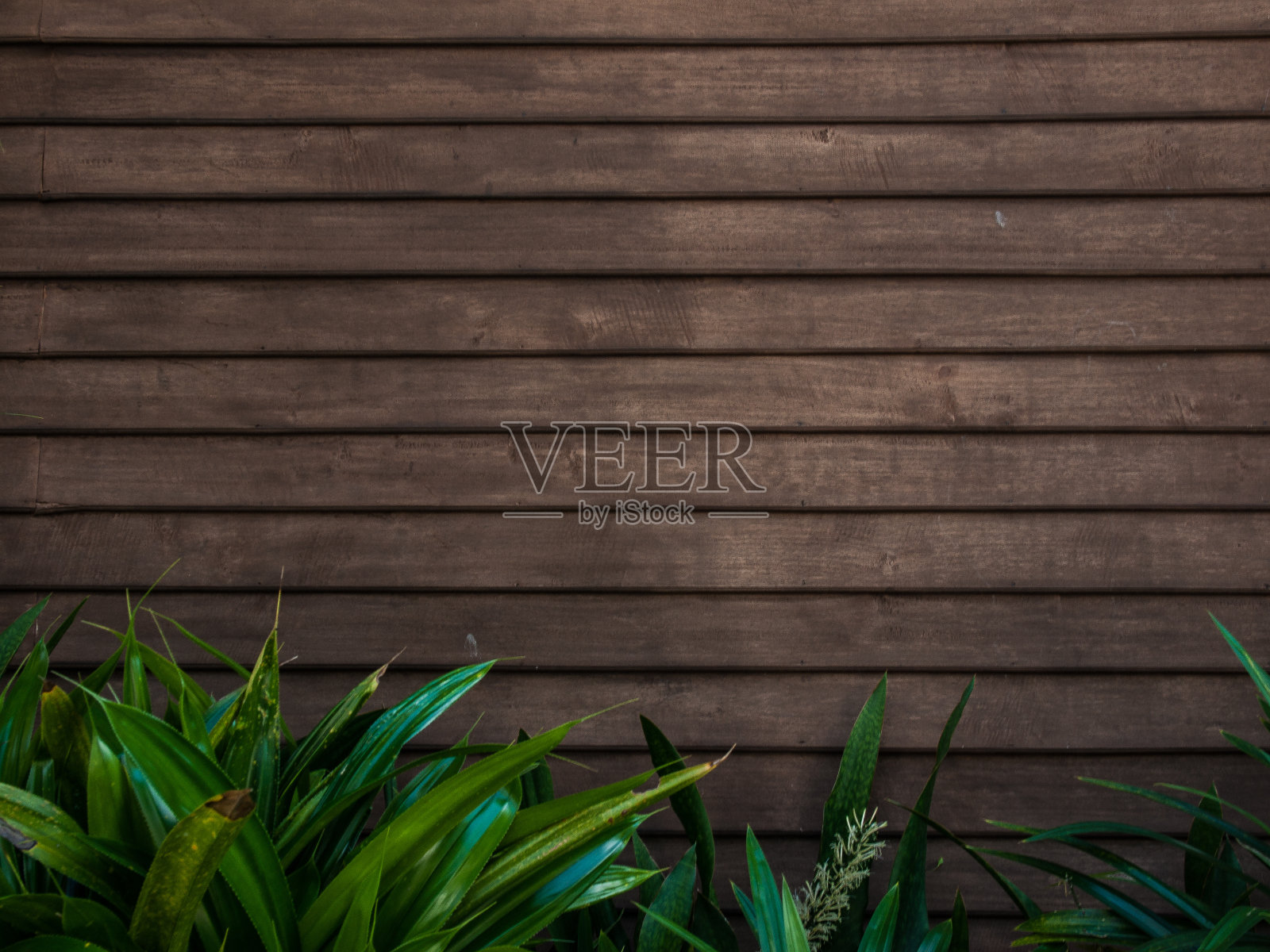 盖层堆垛木屑颗粒照片摄影图片