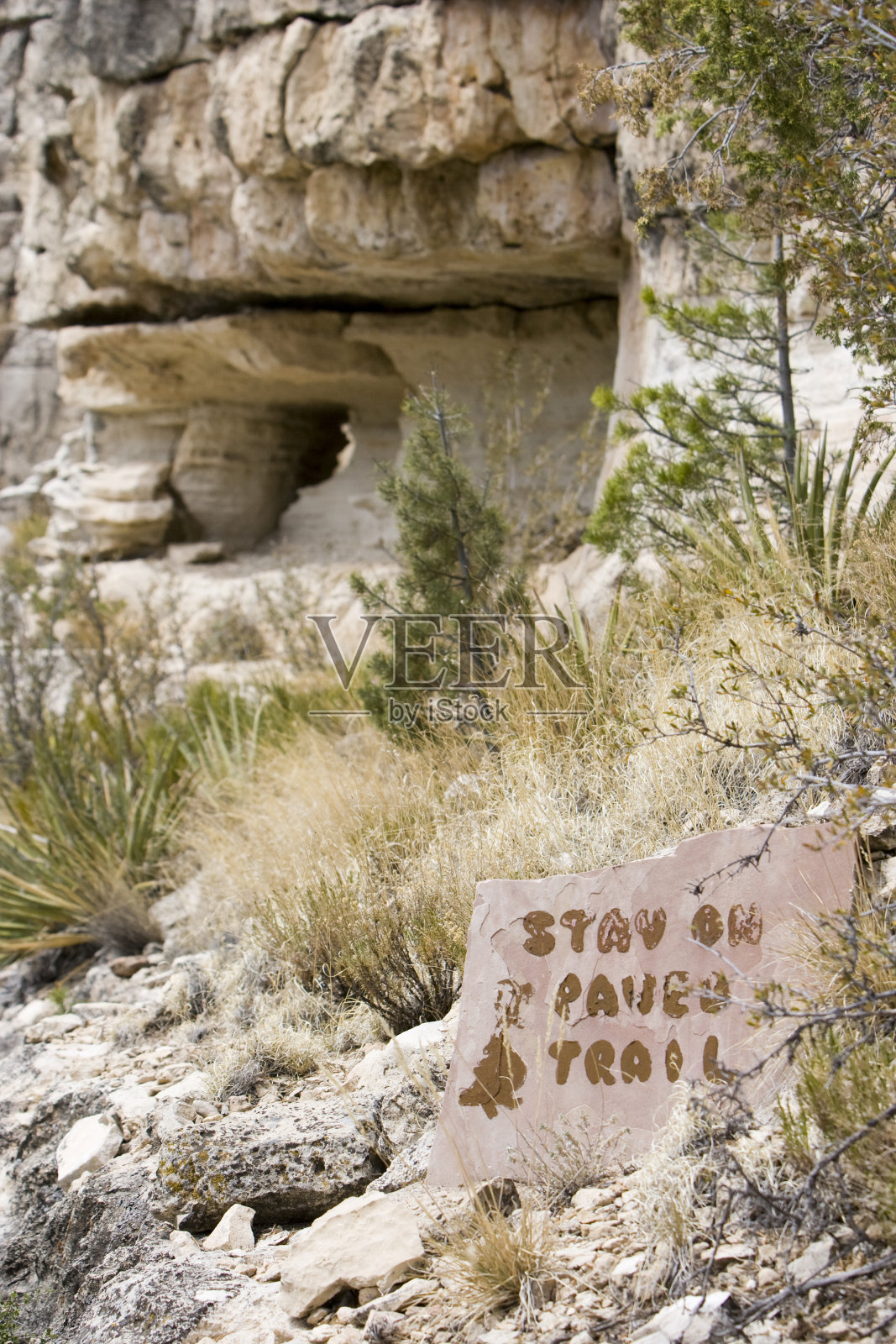 继续跟踪照片摄影图片