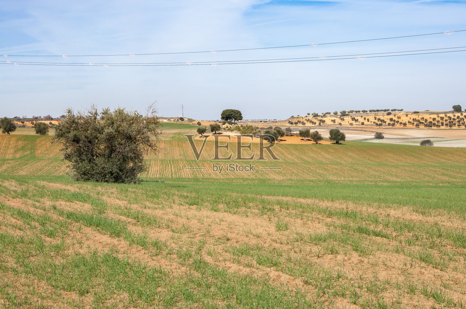 农业景观镶嵌照片摄影图片