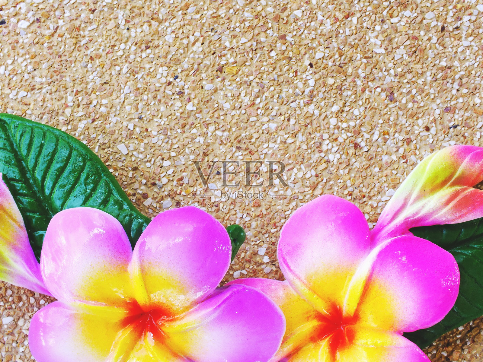 砖雕背景上的鸡蛋花漆照片摄影图片