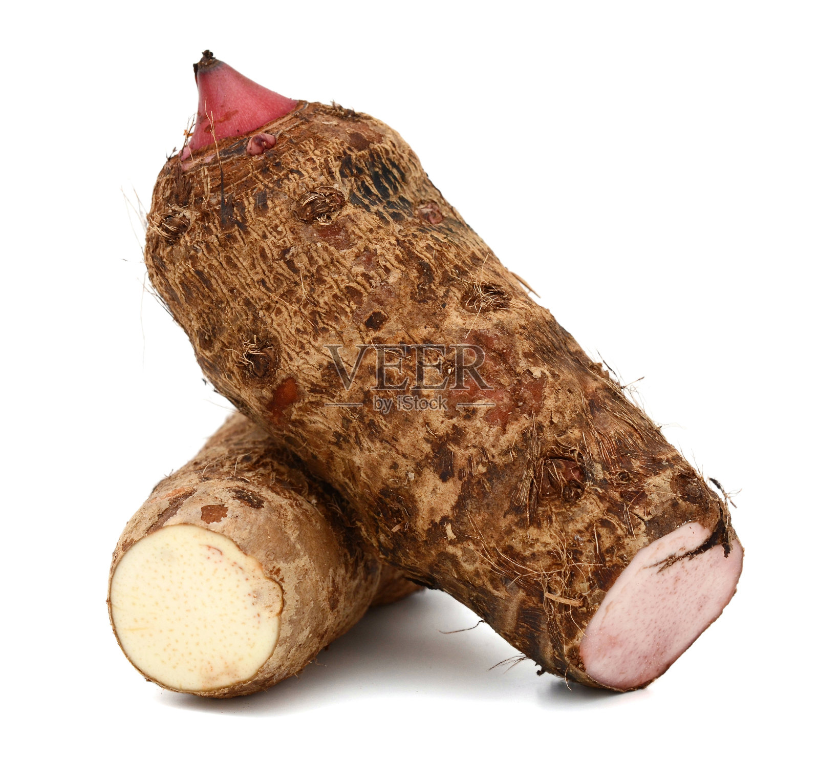 白芋根照片摄影图片