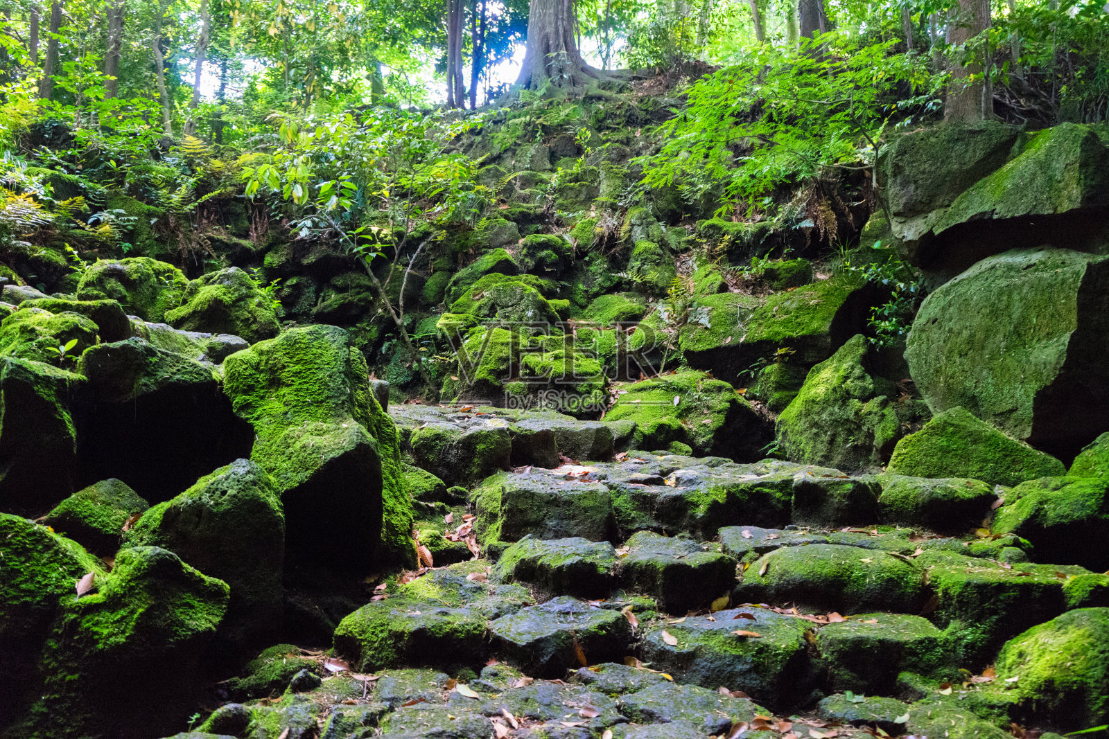 Komakado风洞的石阶照片摄影图片
