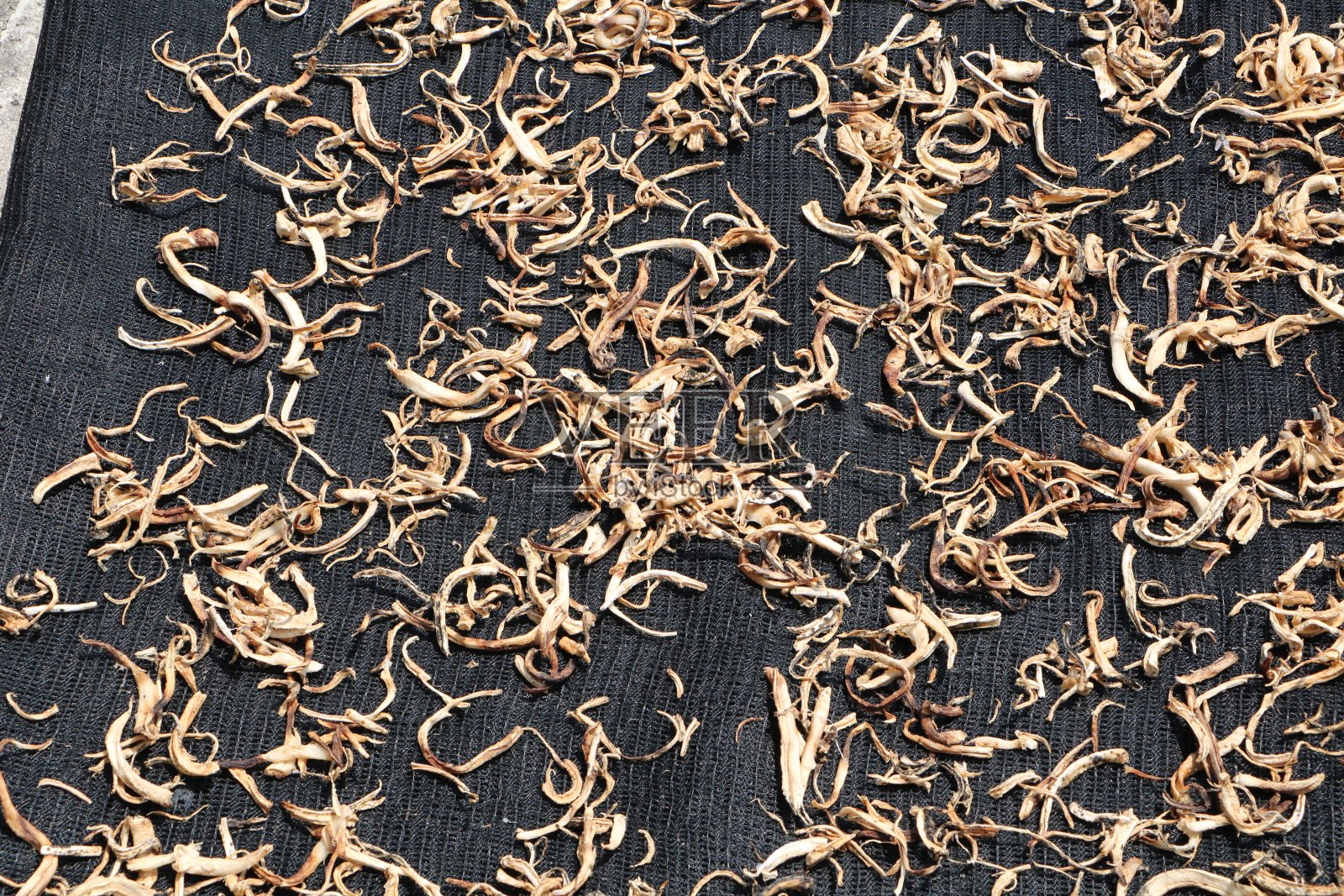 干草药,照片摄影图片