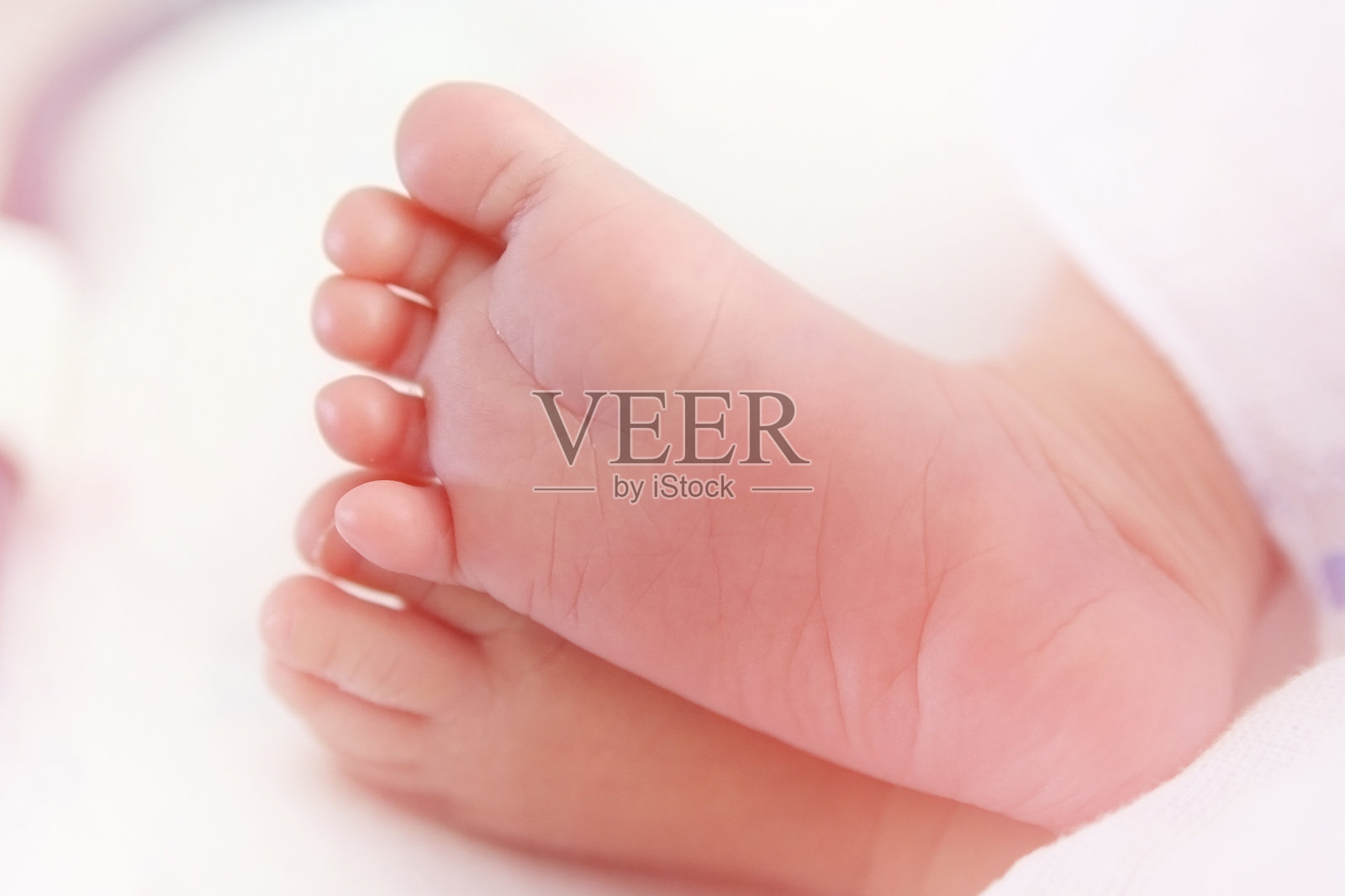 新生儿的脚照片摄影图片