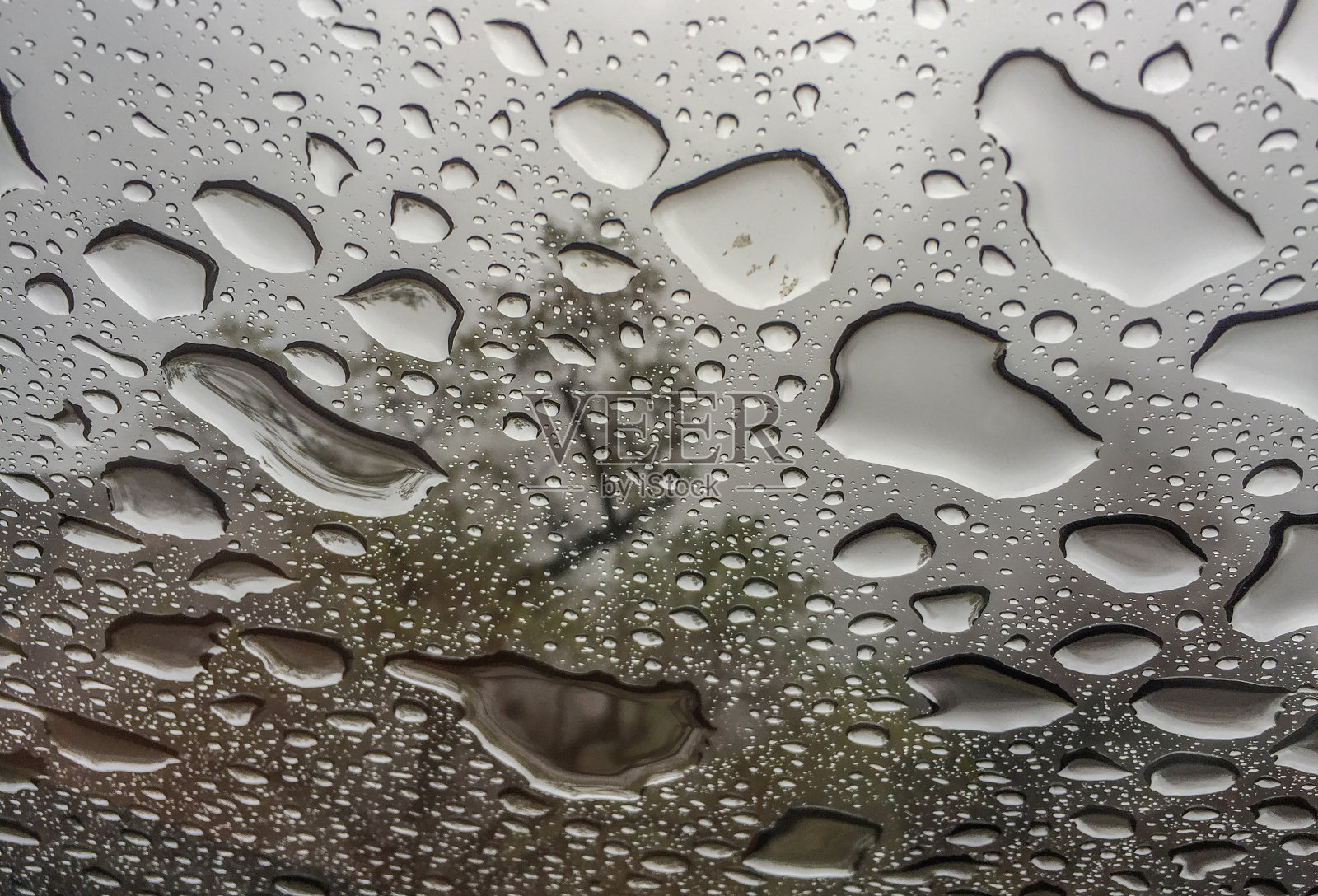 滴雨照片摄影图片