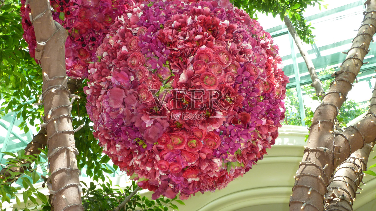 球的花照片摄影图片