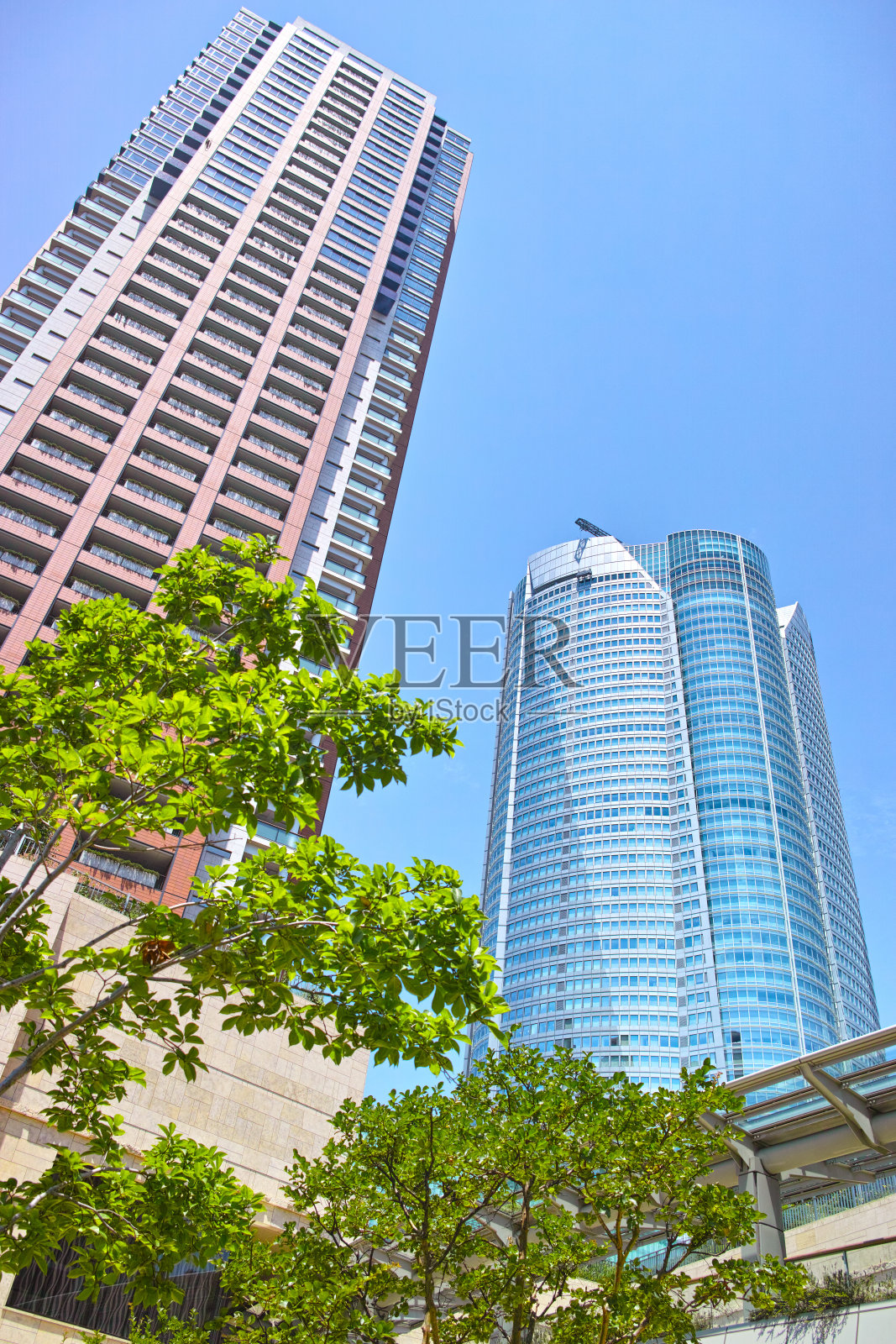 40、绿色新鲜高楼大厦照片摄影图片