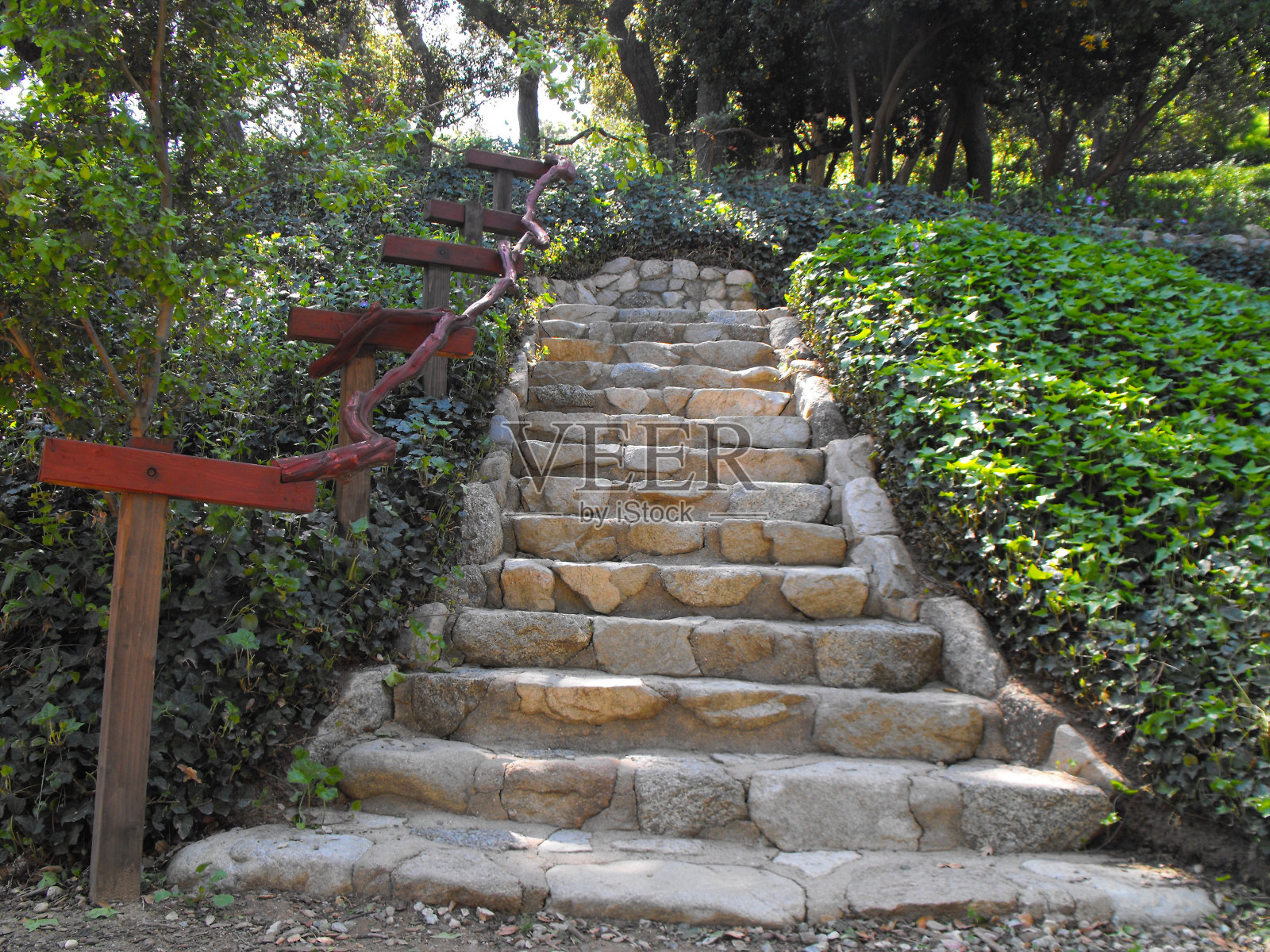 楼梯照片摄影图片