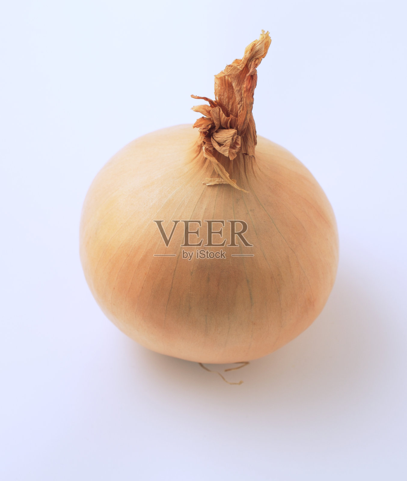 白洋葱照片摄影图片