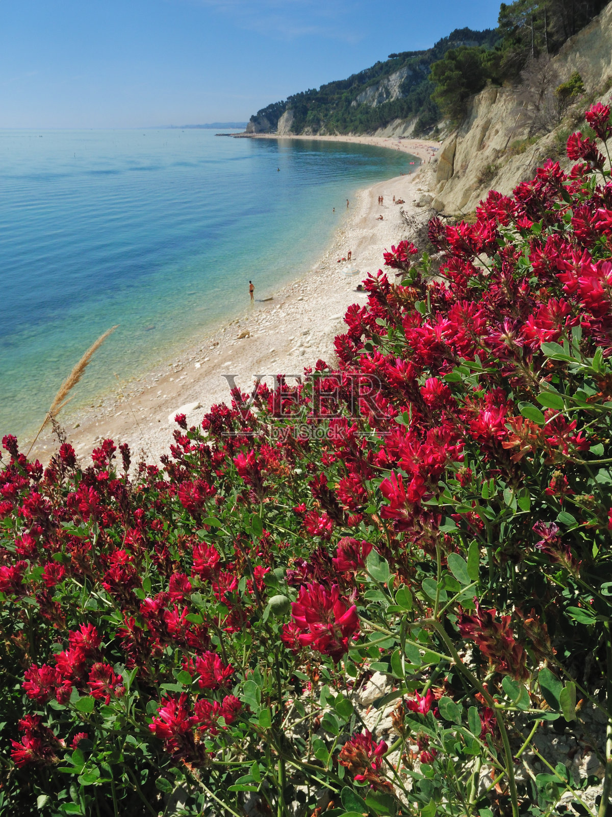 conero山照片摄影图片
