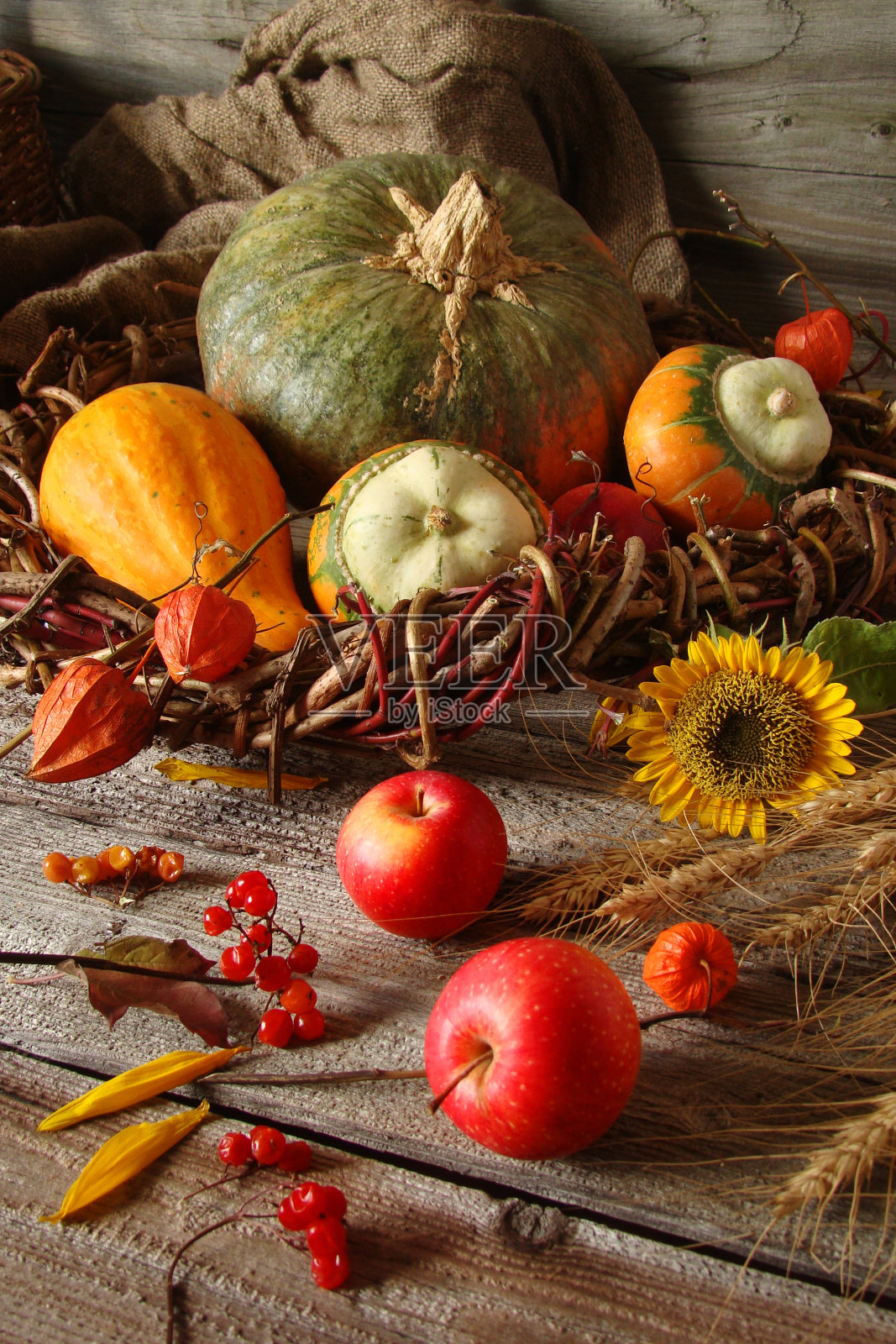 秋季装饰南瓜，向日葵，苹果照片摄影图片