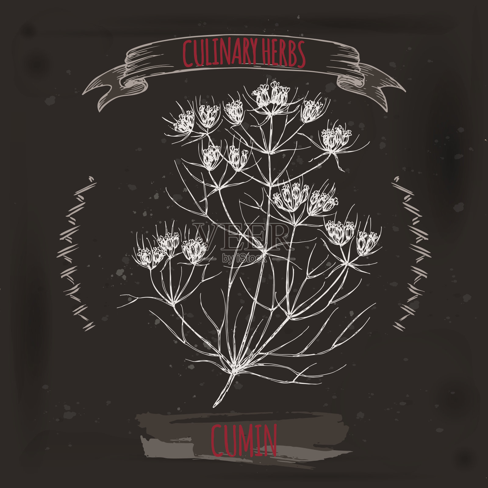 孜然向量手绘草图在肮脏的黑色背景。插画图片素材