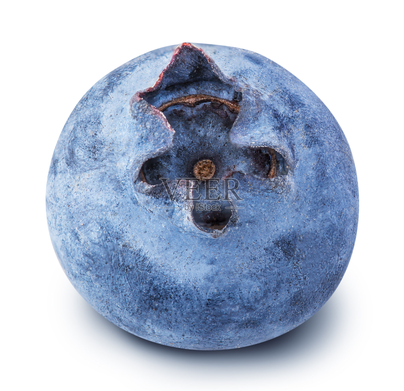 成熟的蓝莓孤立在白色背景照片摄影图片