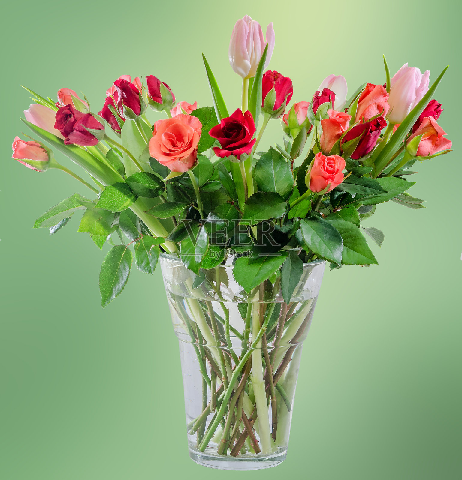 红色和橙色的玫瑰和粉红色的郁金香照片摄影图片