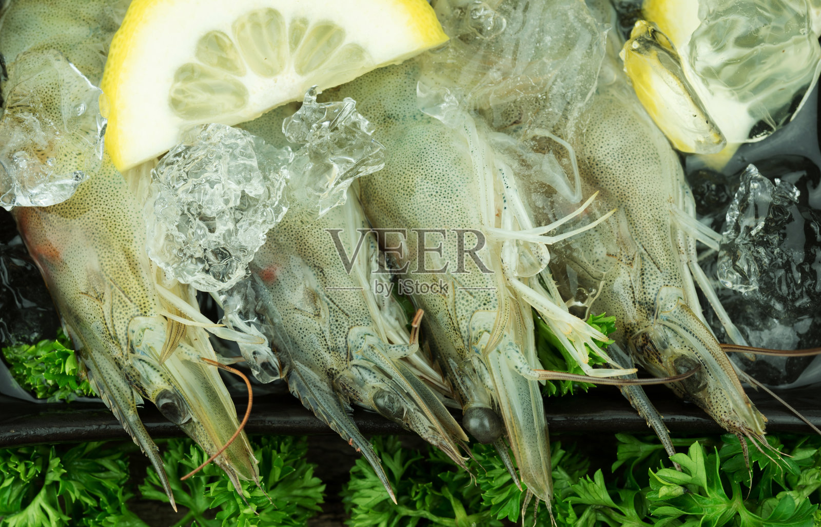 生虾照片摄影图片