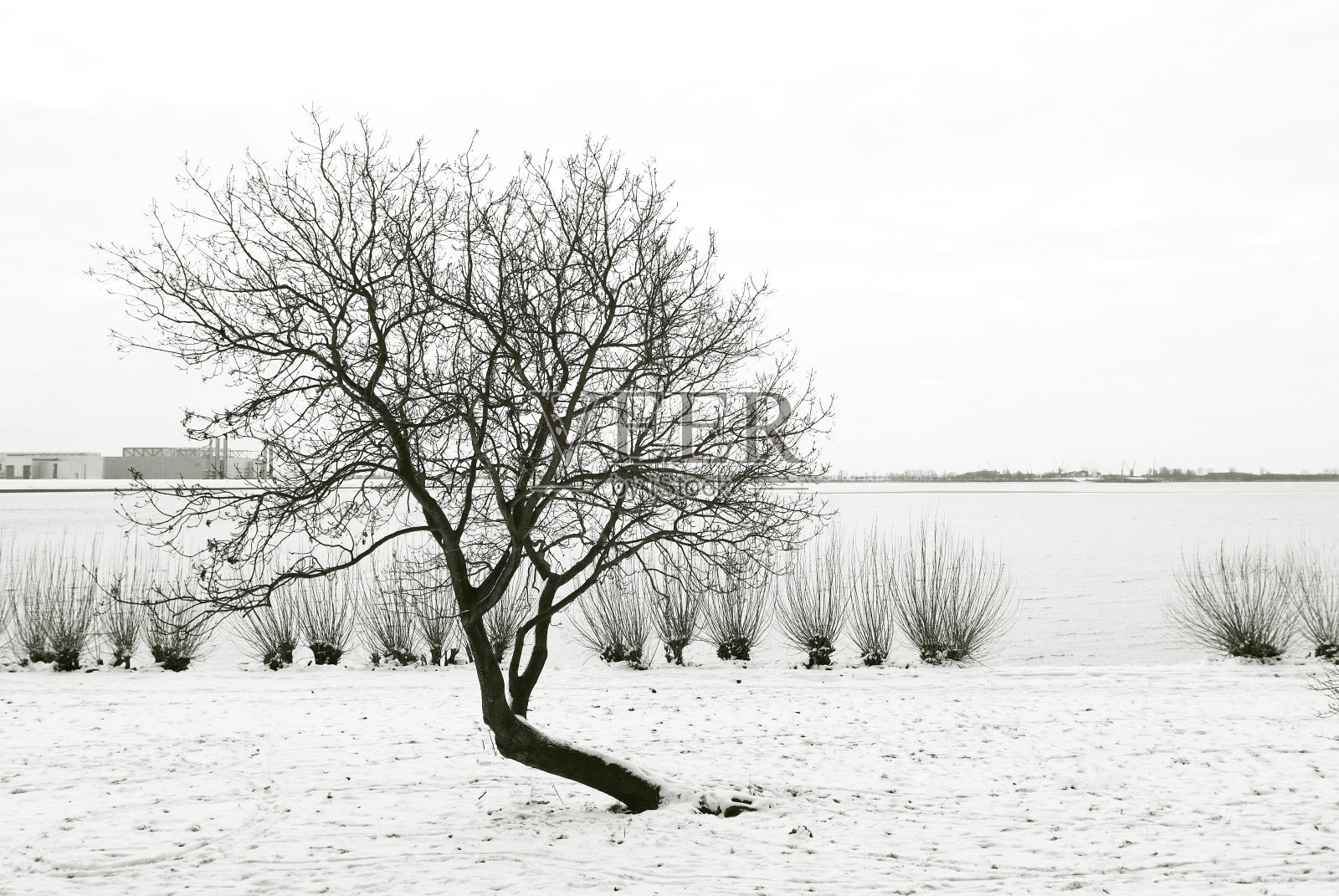 等待照片摄影图片