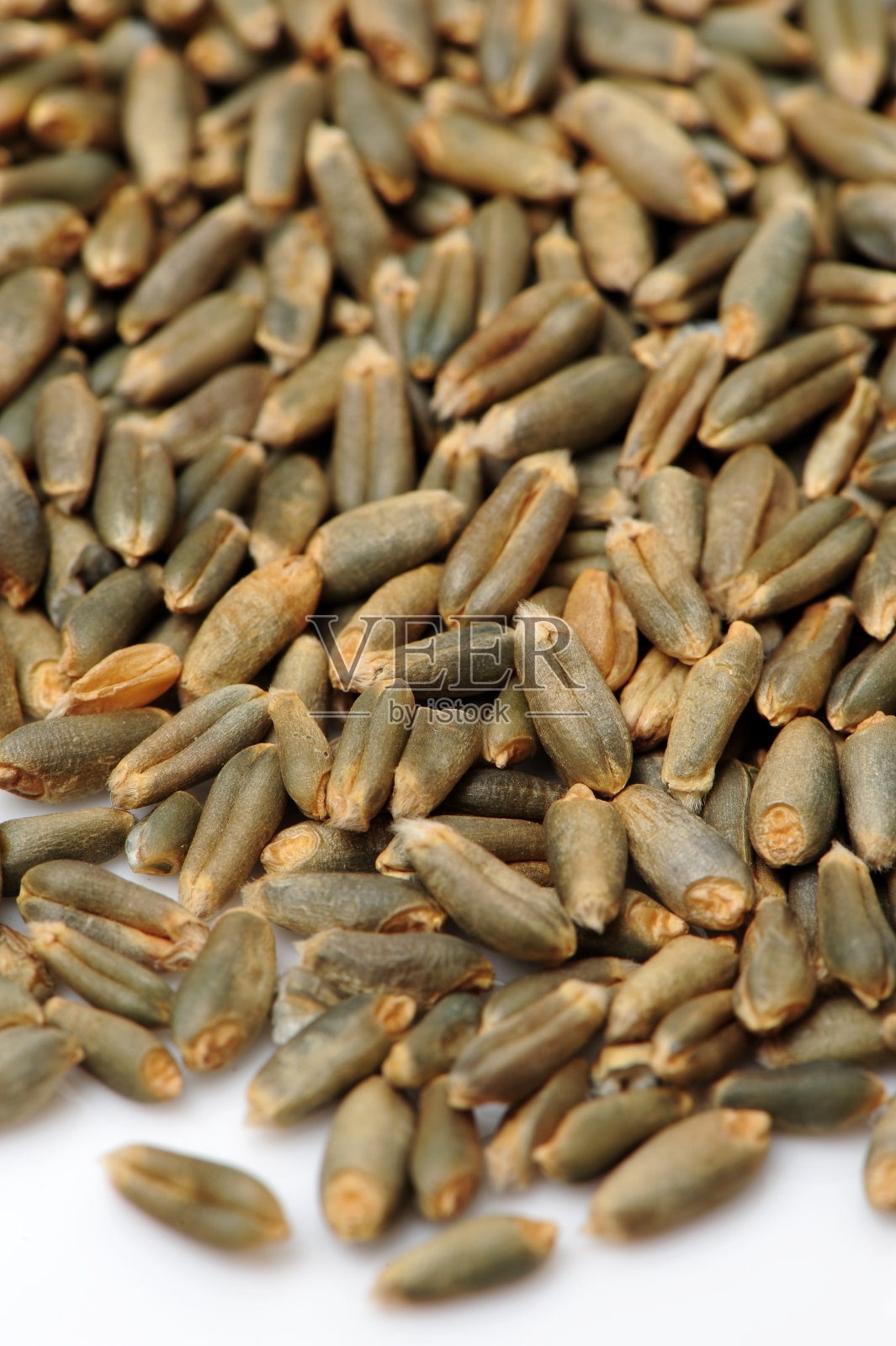 青稞是大麦的一个变种，主要分布在西藏照片摄影图片