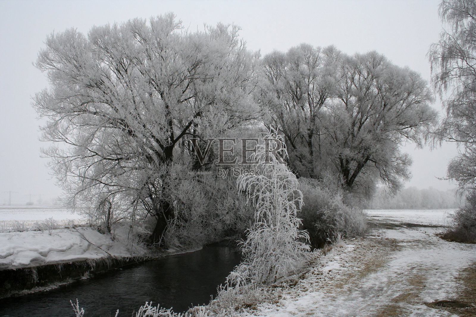 白霜照片摄影图片