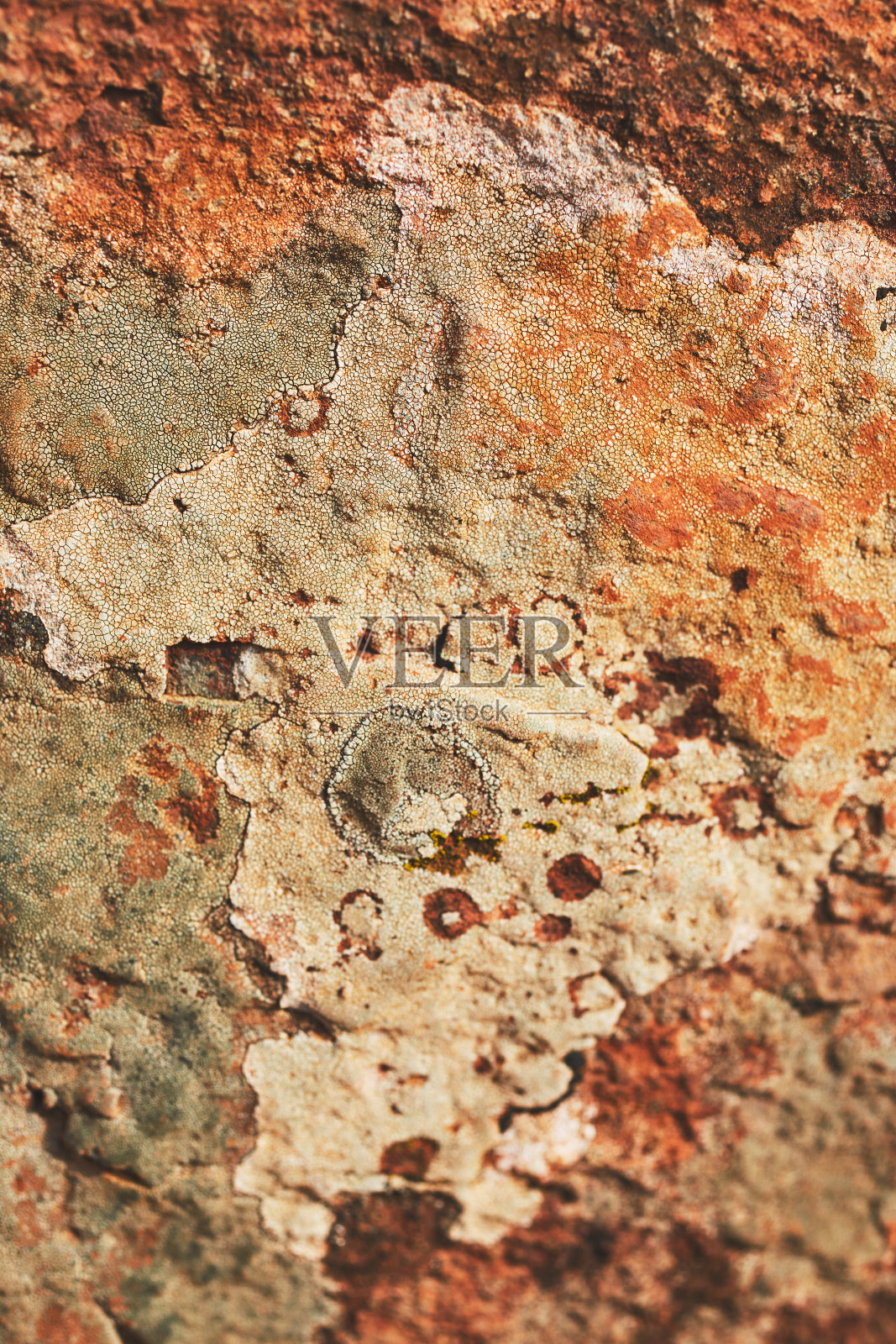 石头的纹理照片摄影图片