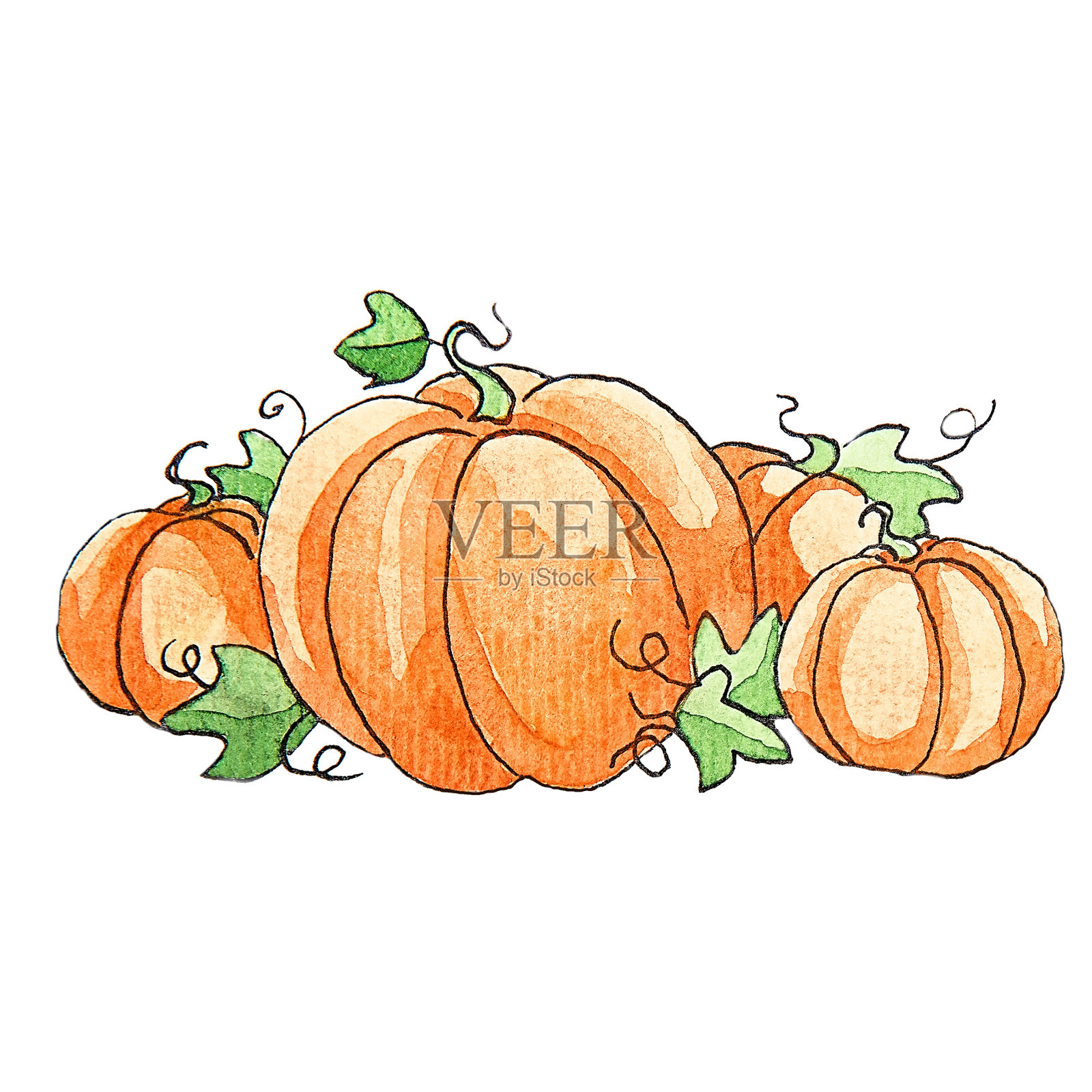 艺术水彩秋天南瓜插画图片素材