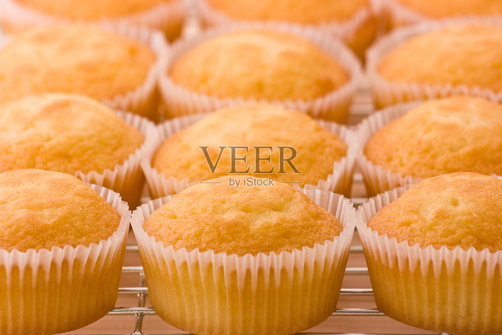 在冷却架上成排的仙女海绵蛋糕照片摄影图片