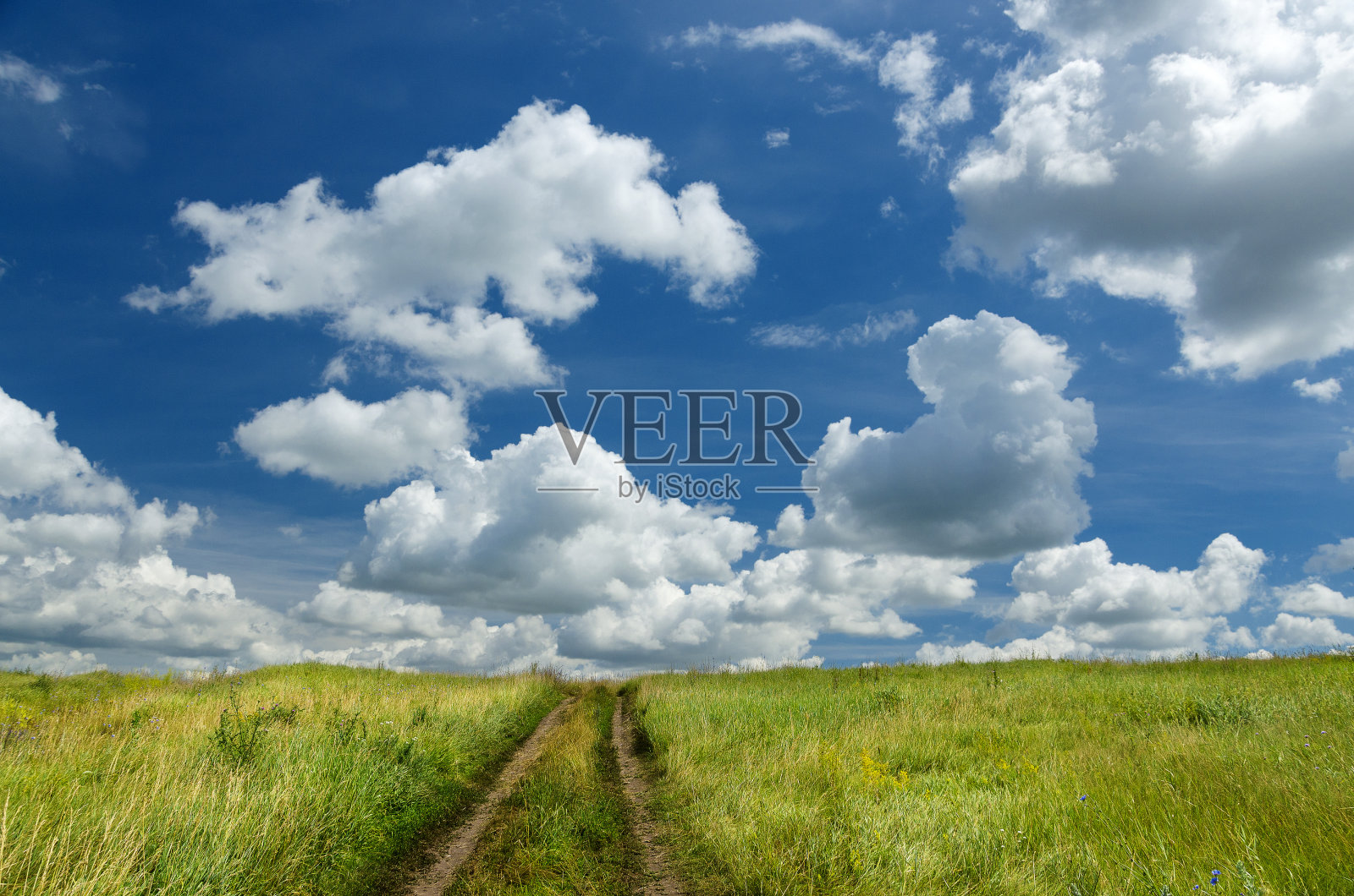草地上的乡间小路照片摄影图片