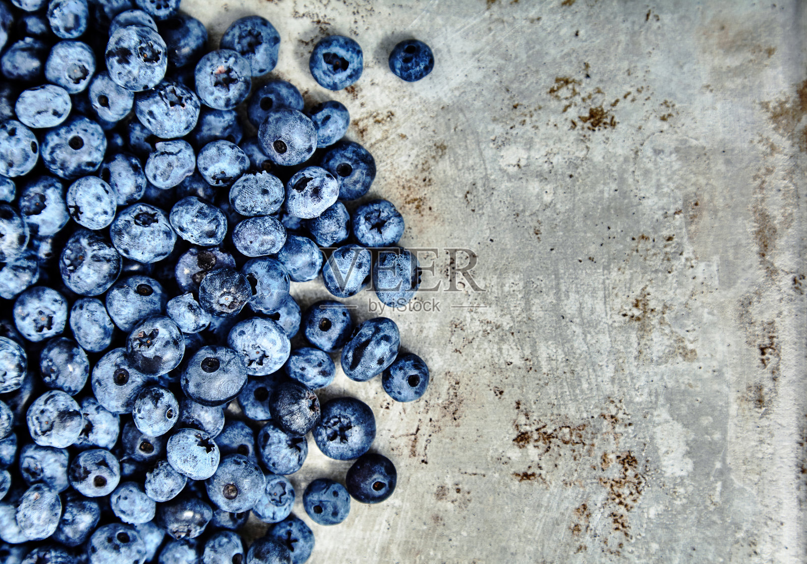 新鲜采摘蓝莓。有机照片摄影图片