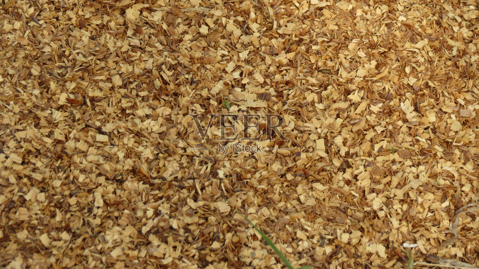 树皮覆盖背景照片摄影图片