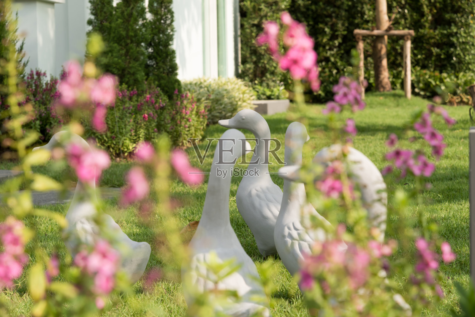 鸭子雕像群。照片摄影图片