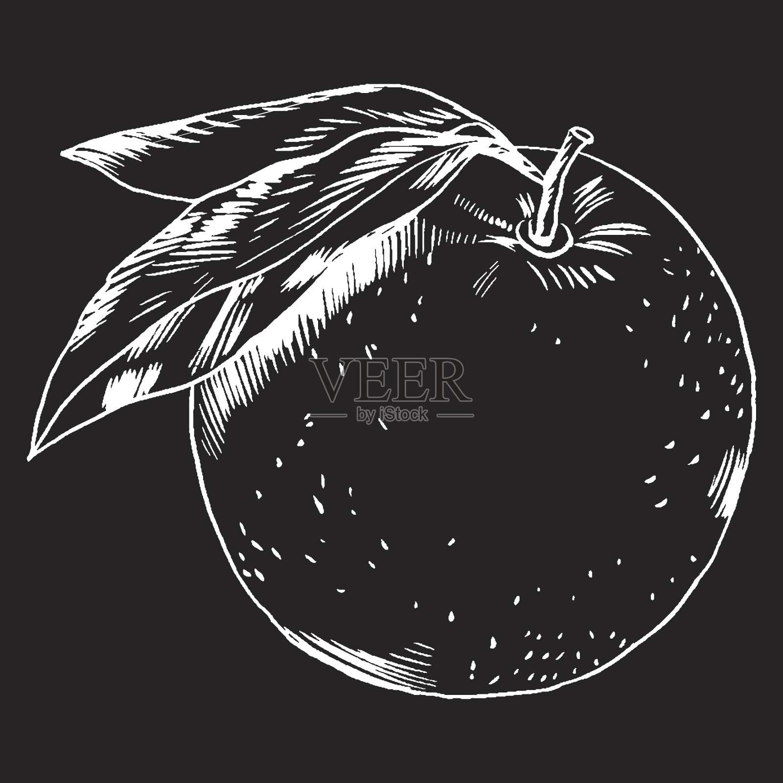 矢量插图与手绘橙色插画图片素材