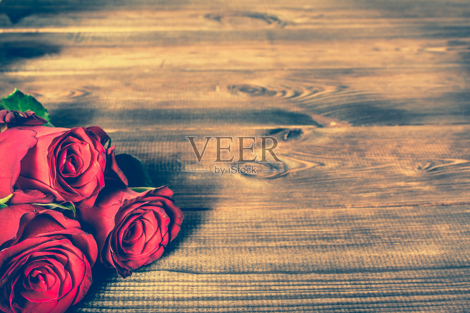 木头上的红玫瑰花，复古照片，拷贝空间照片摄影图片