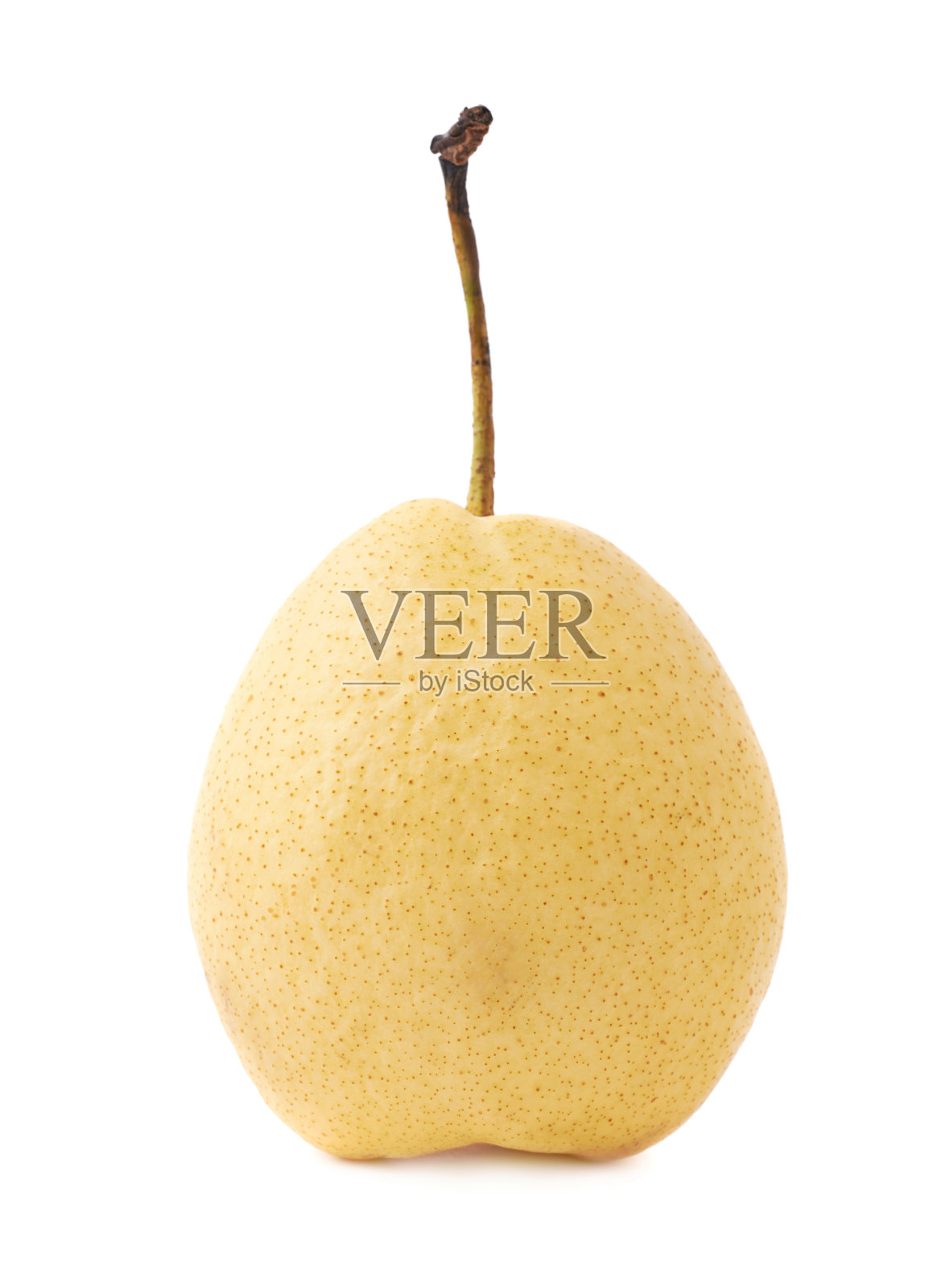 黄梨果实分离照片摄影图片