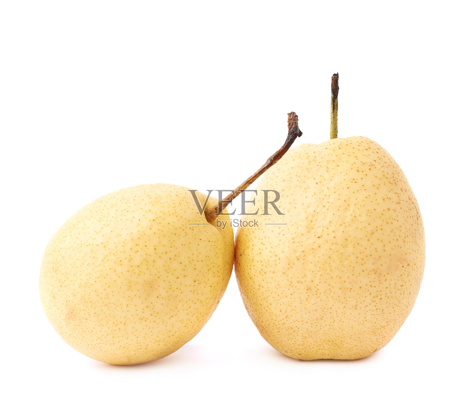 两个分离的黄梨照片摄影图片