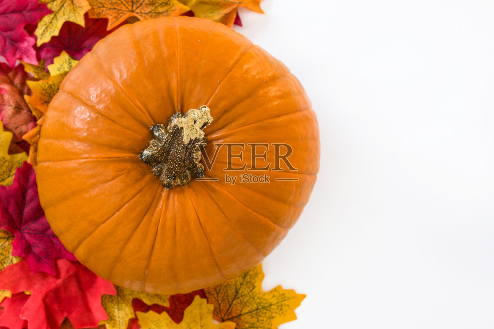 南瓜和秋叶照片摄影图片