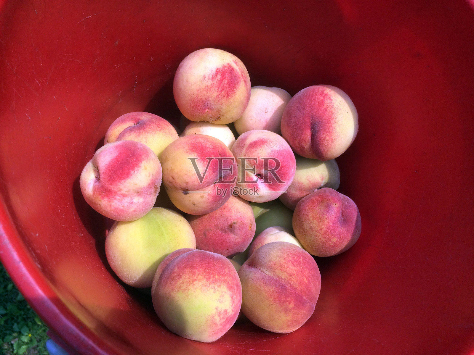 桶装新鲜桃子照片摄影图片