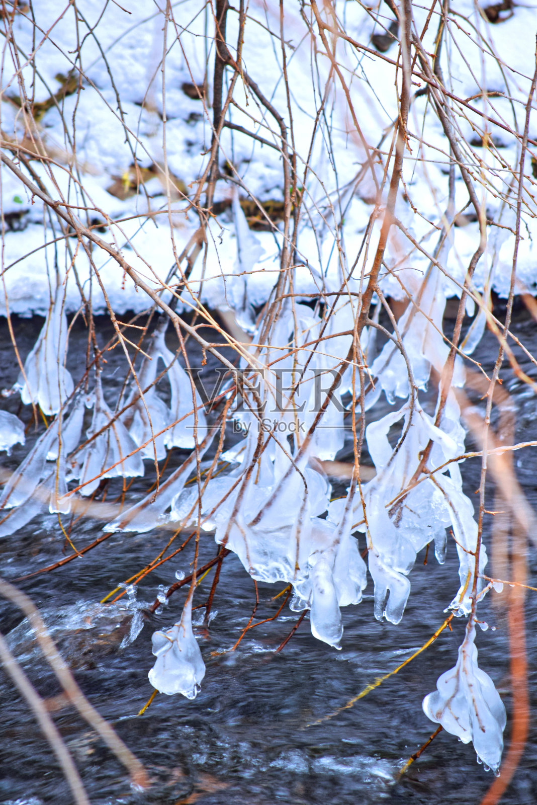 树枝在冬天的河里结冰了。照片摄影图片