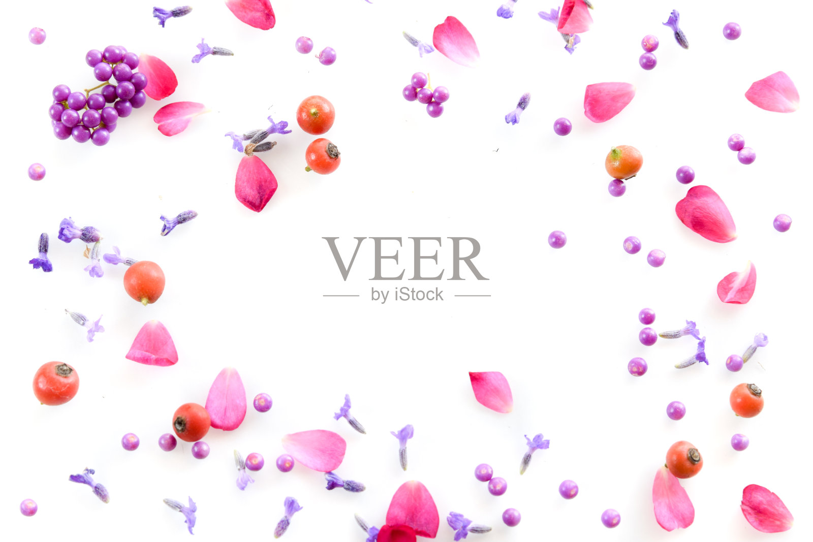 野玫瑰和薰衣草照片摄影图片