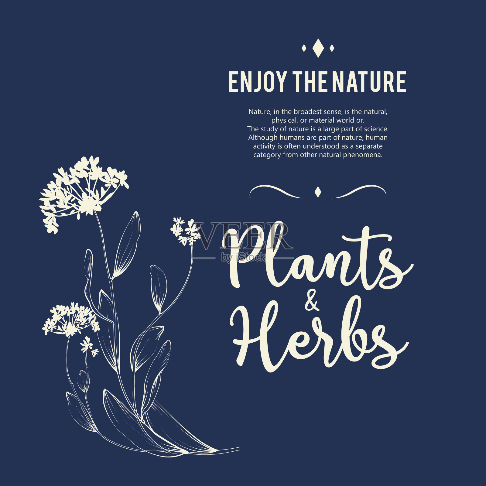 邀请卡的花卉背景插画图片素材