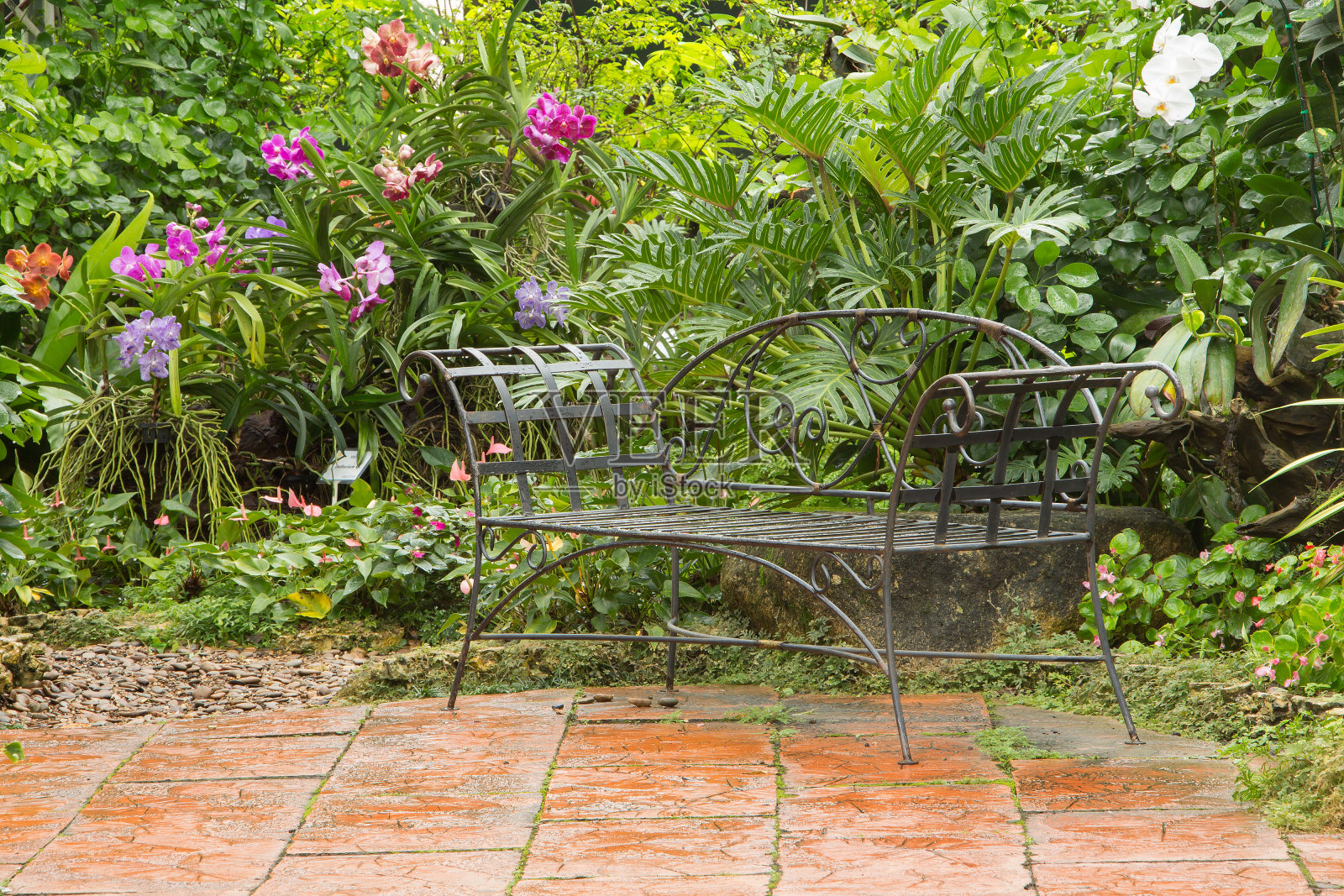 在雨天，长凳映衬着郁郁葱葱的背景照片摄影图片