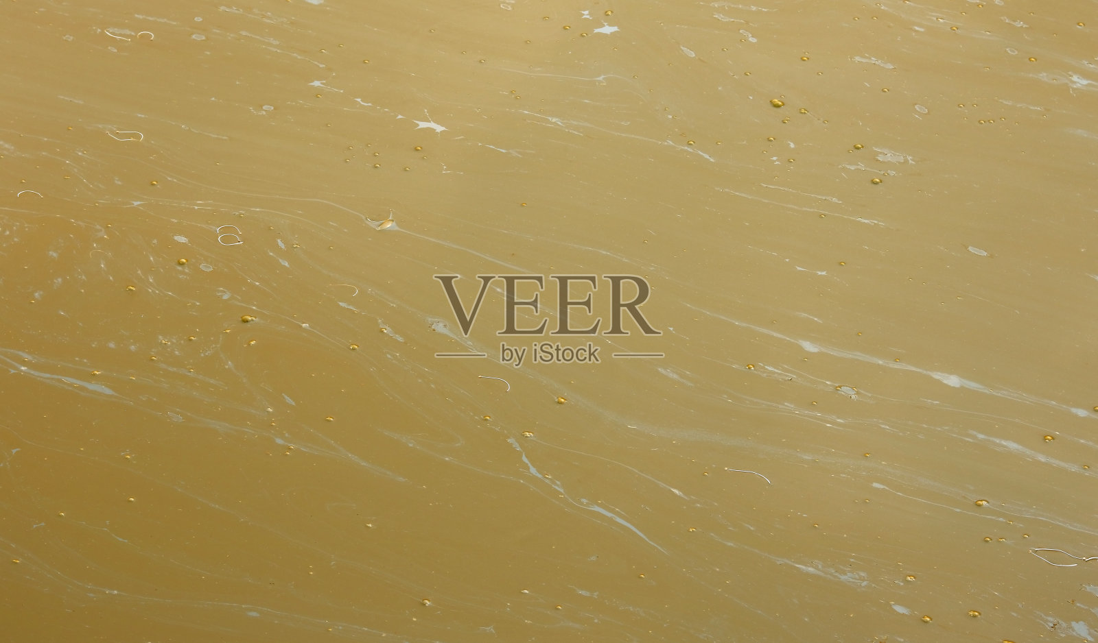 沼泽的纹理照片摄影图片