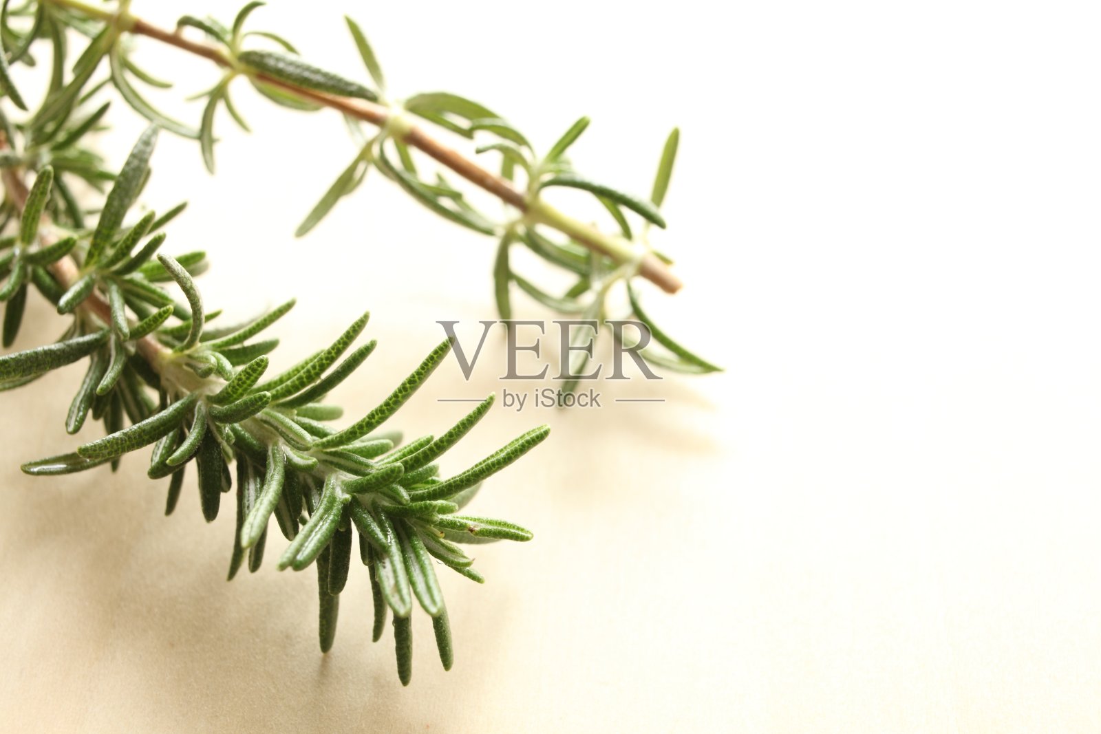 近距离的迷迭香在木桌上照片摄影图片